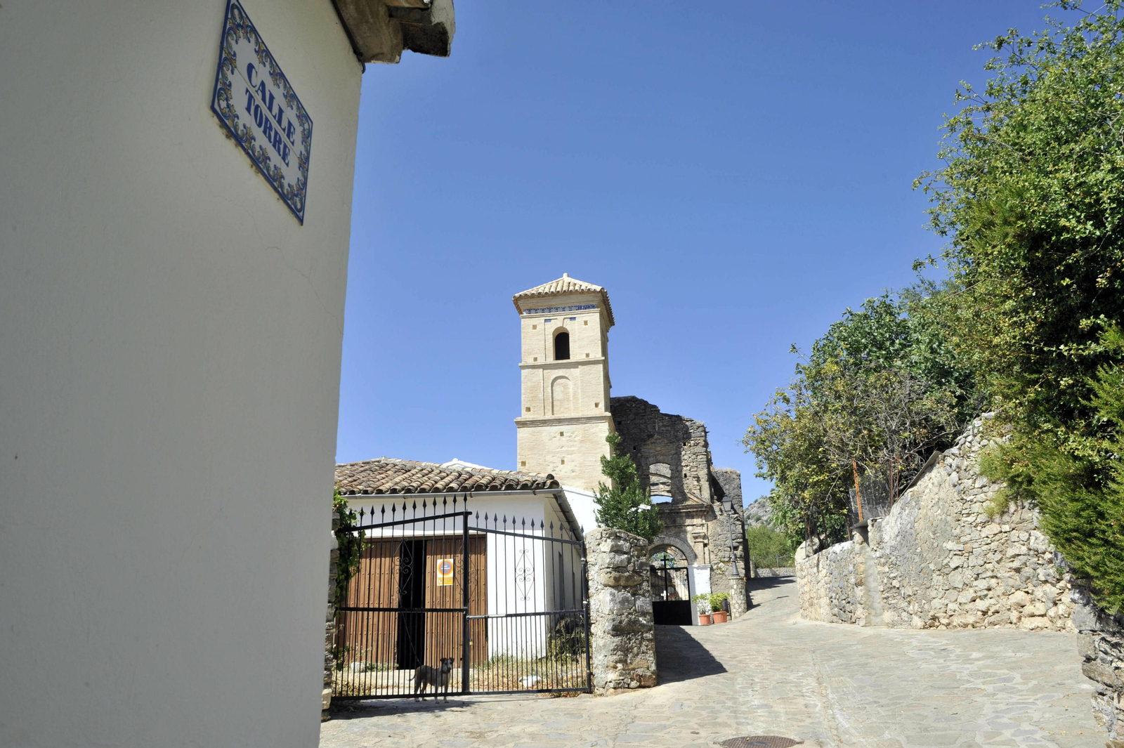 Imágenes del cementerio de Villaluenga