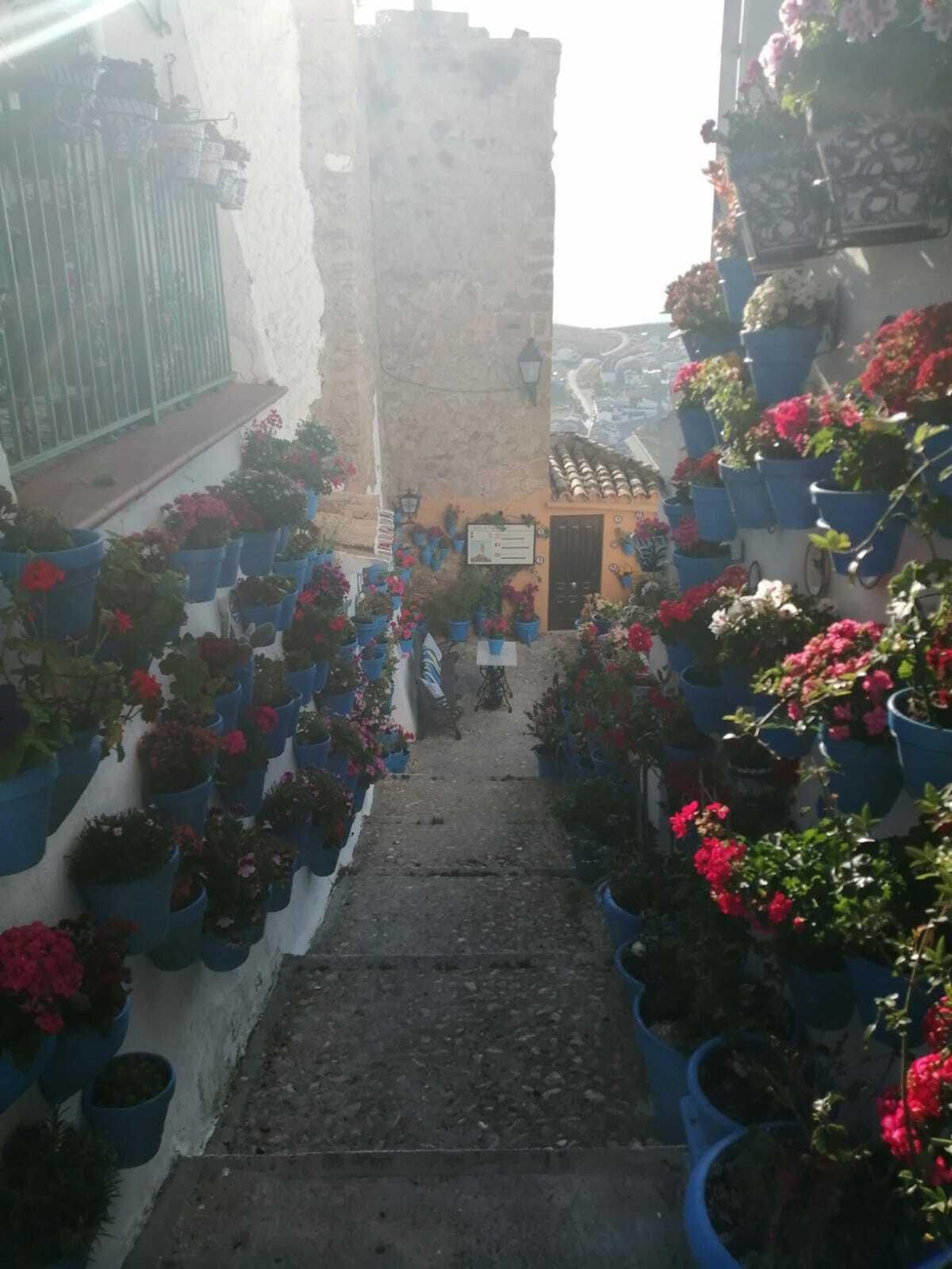 Fotografías de cómo lucen los patios, balcones y rejas de Iznájar.