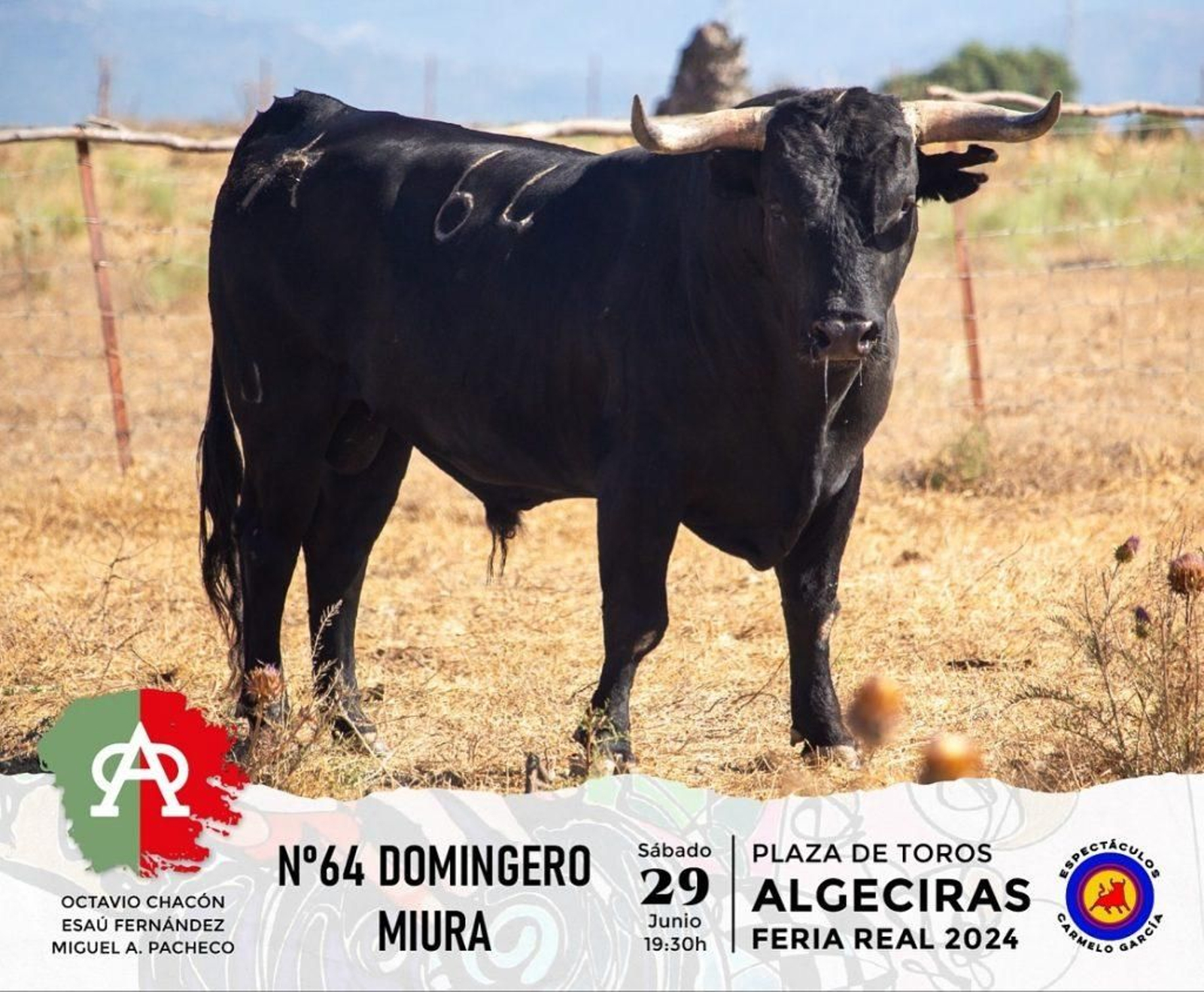 Domingero, nº 64 (Miura).