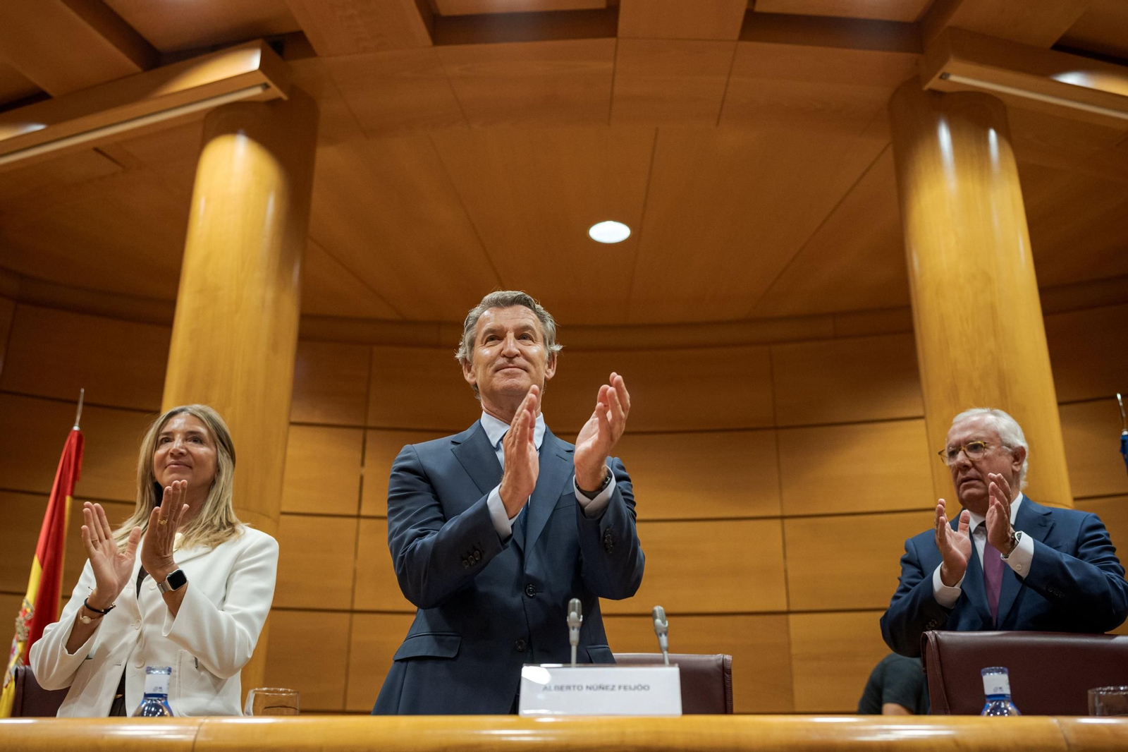 El presidente del PP, Alberto Núñez Feijóo.