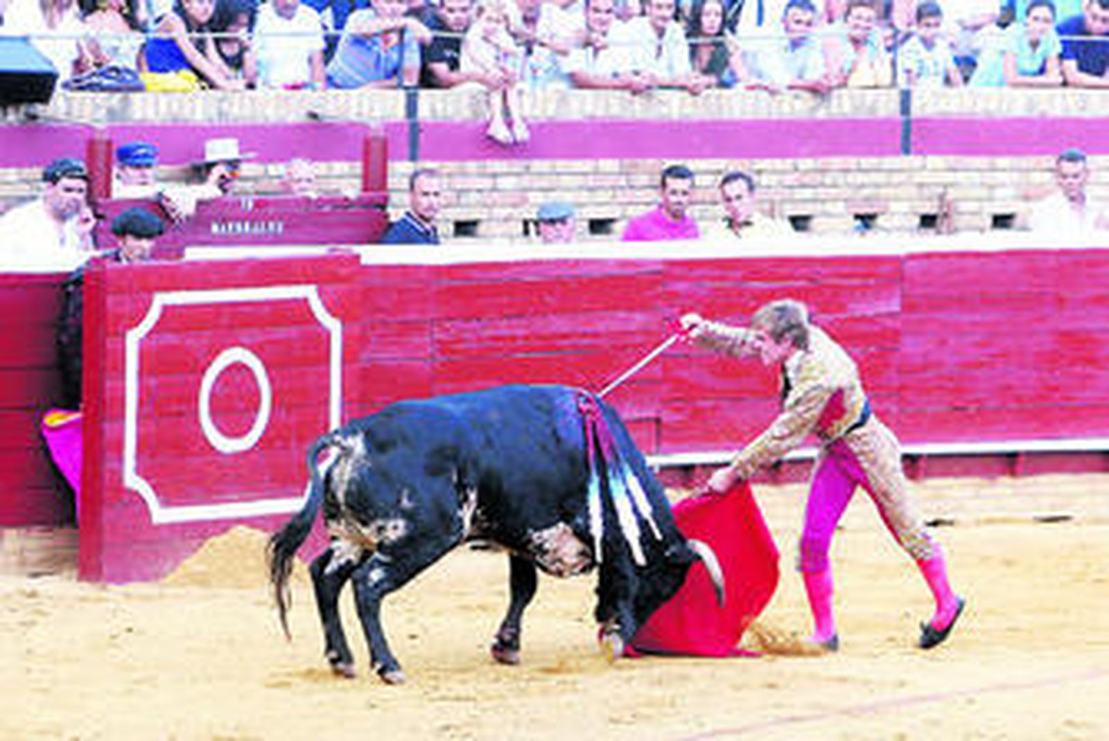 Interesan, saben y además torean bien