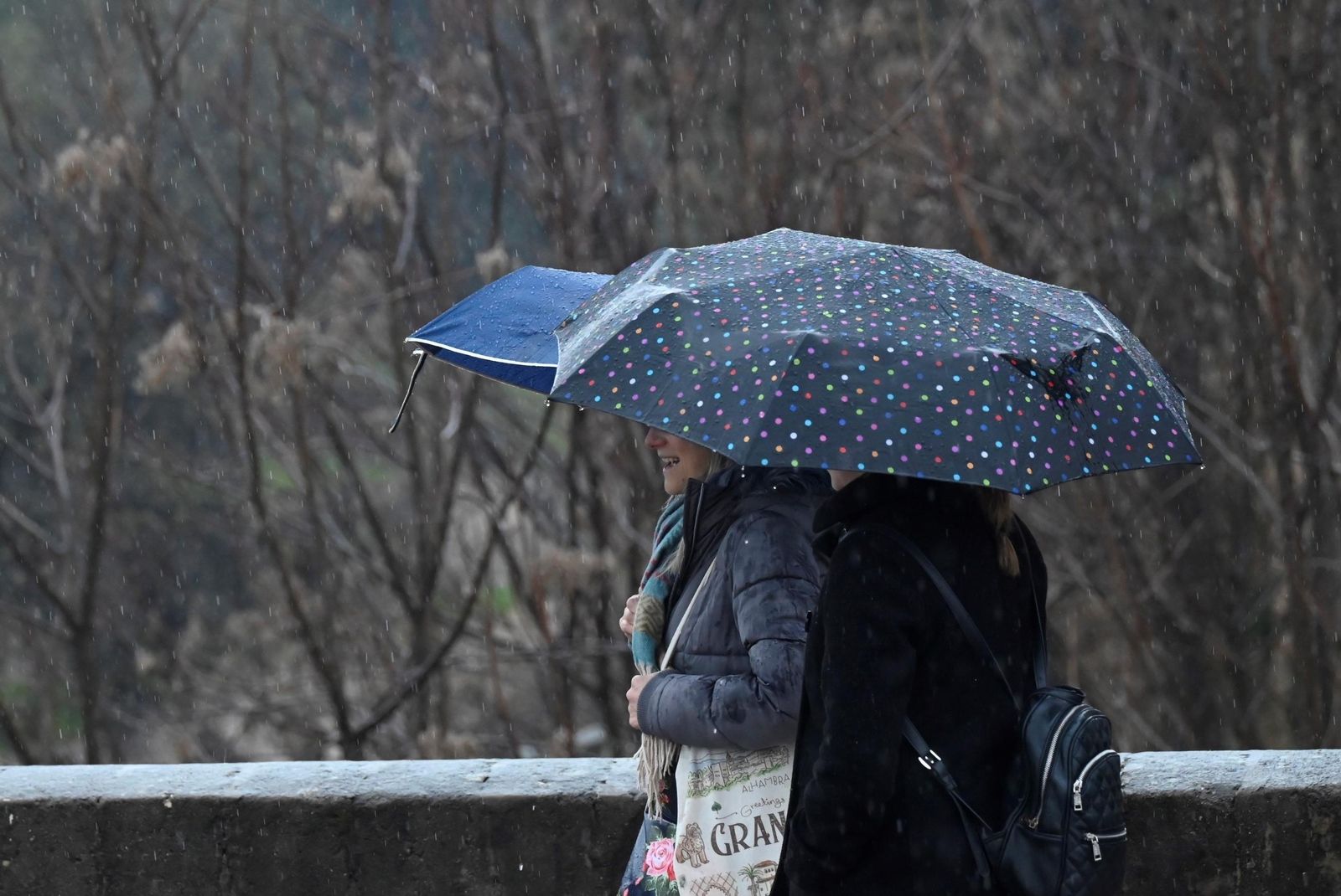 Las imágenes del Día de Andalucía pasado por agua en Córdoba