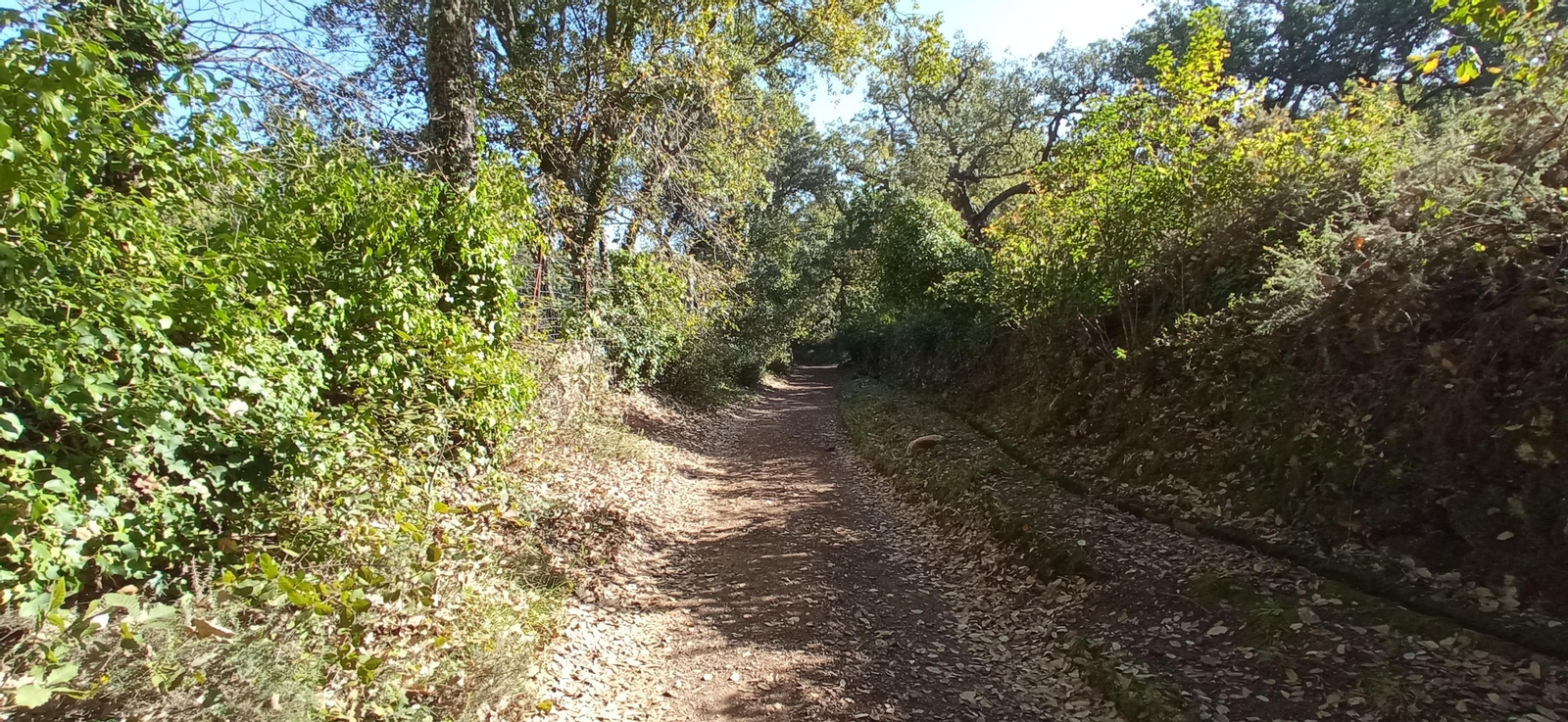 Las imágenes de la ruta de la cascada de Jollarancos y bosque de las letras