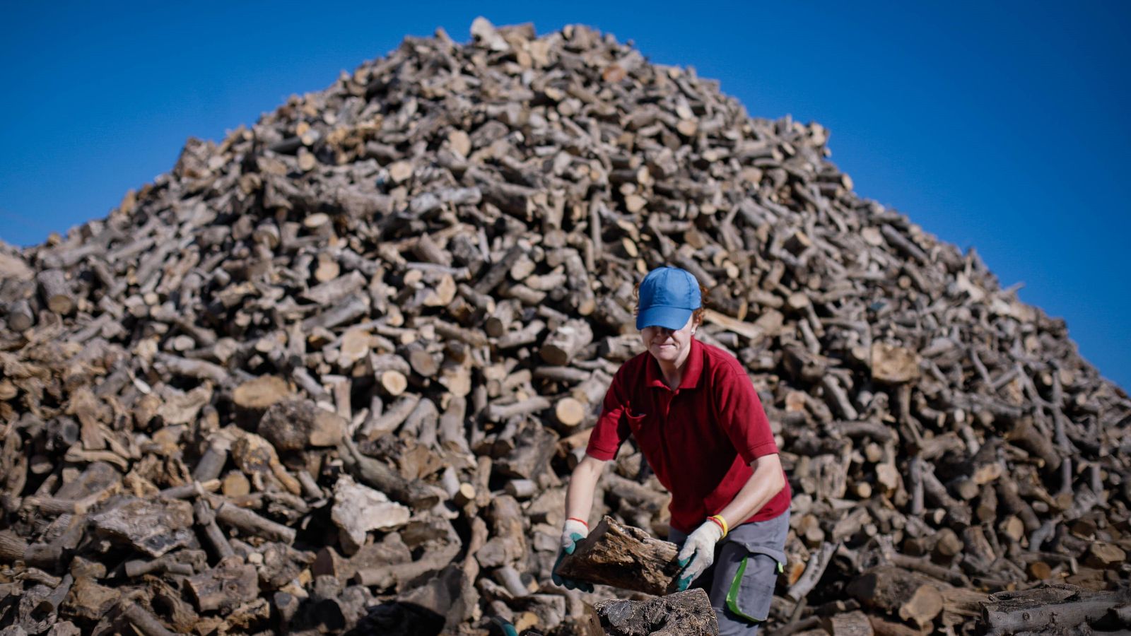 Ana Belén carga unos troncos en una de las carretillas que tienen preparadas.