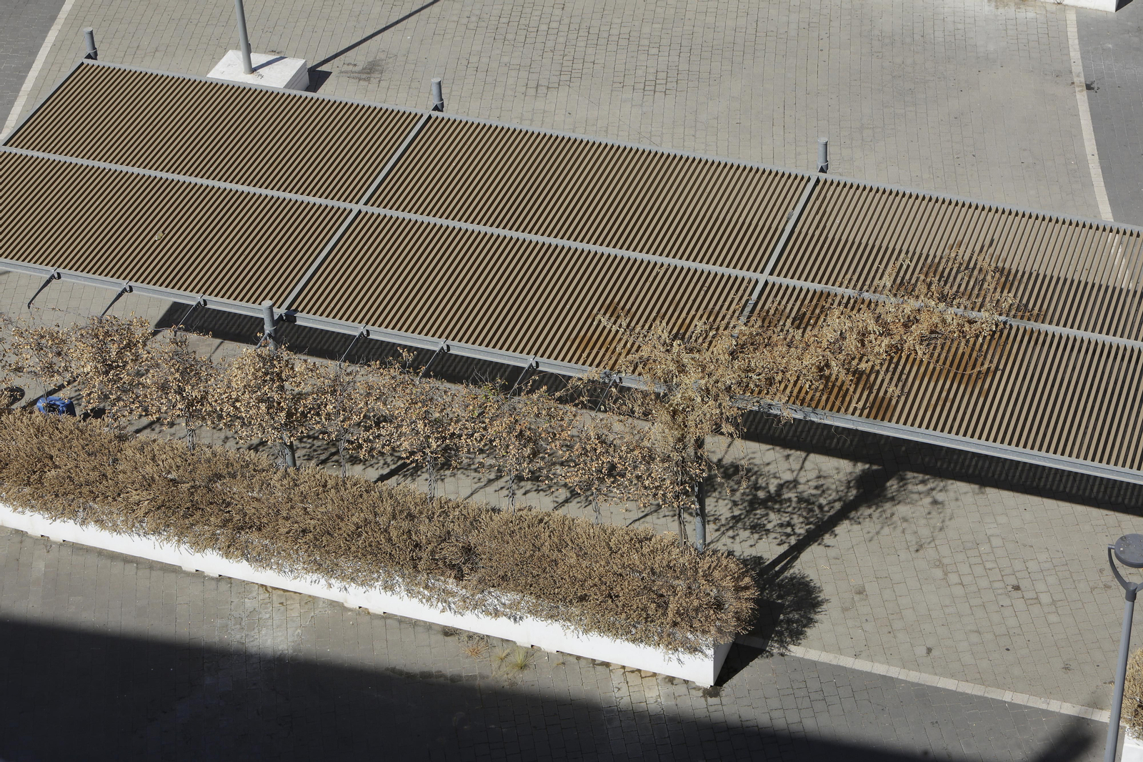 Abandono y mal estado de la plaza entre Mercadona y Plaza de Armas