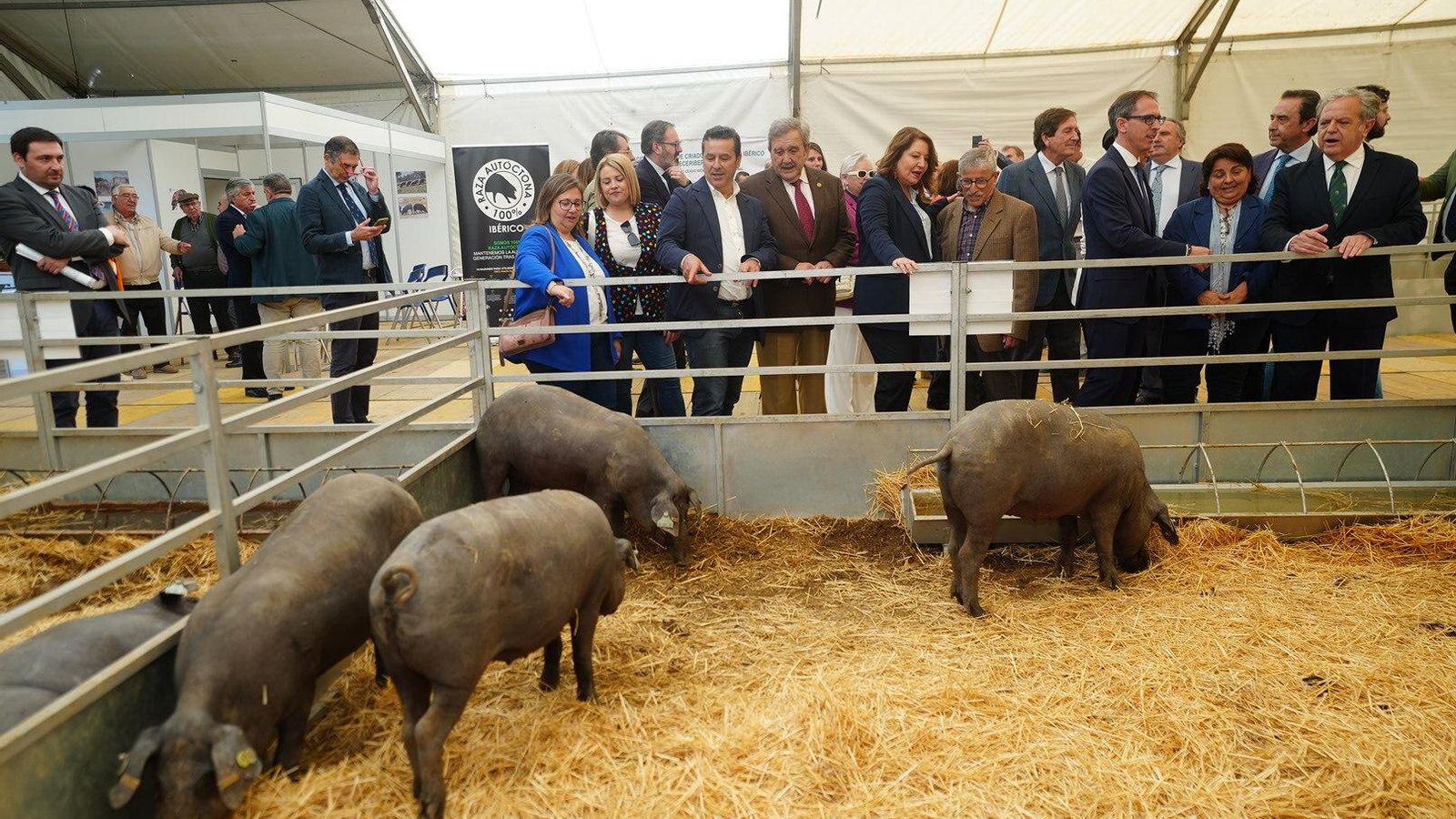 Las autoridades recorren la Feria Agroganadera.