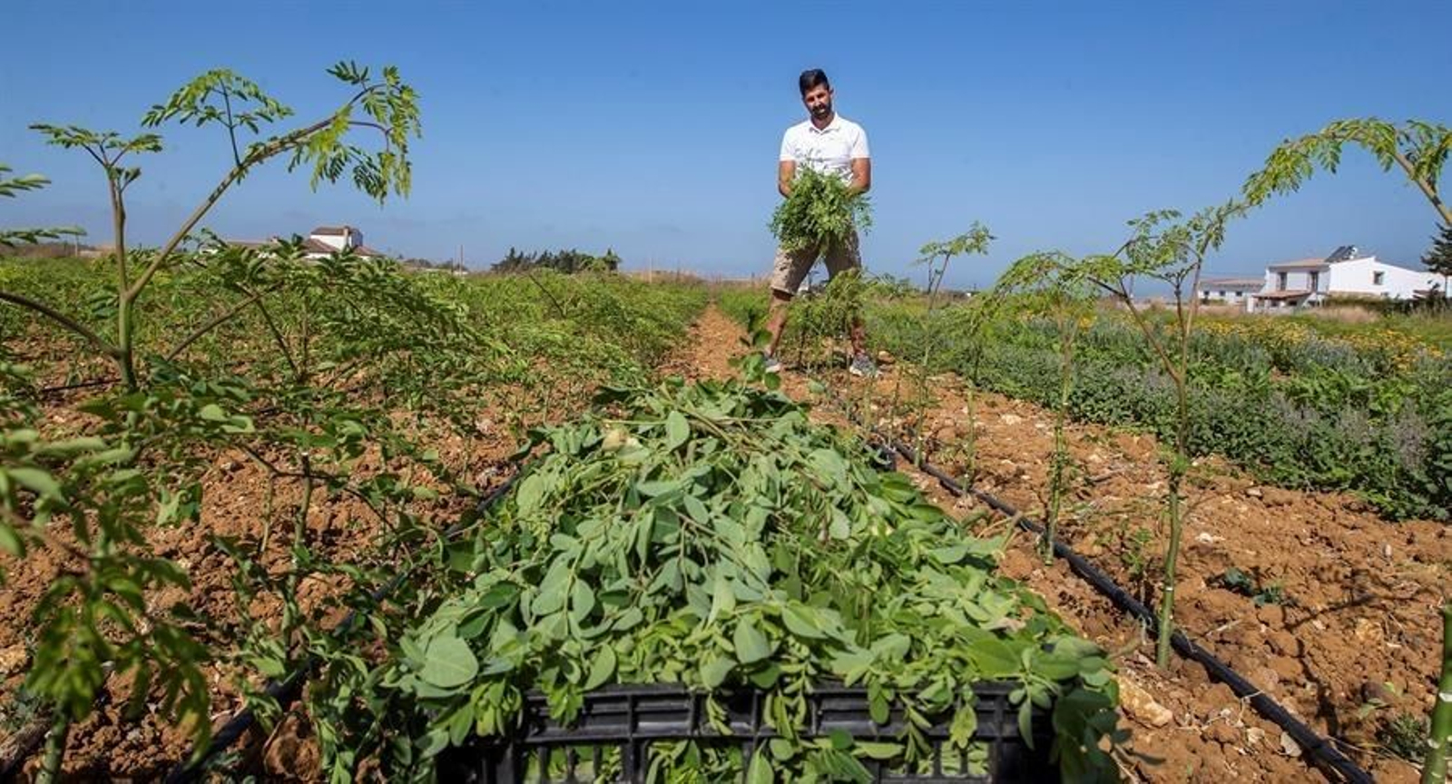 Un joven agricultor en una explotación agraria.