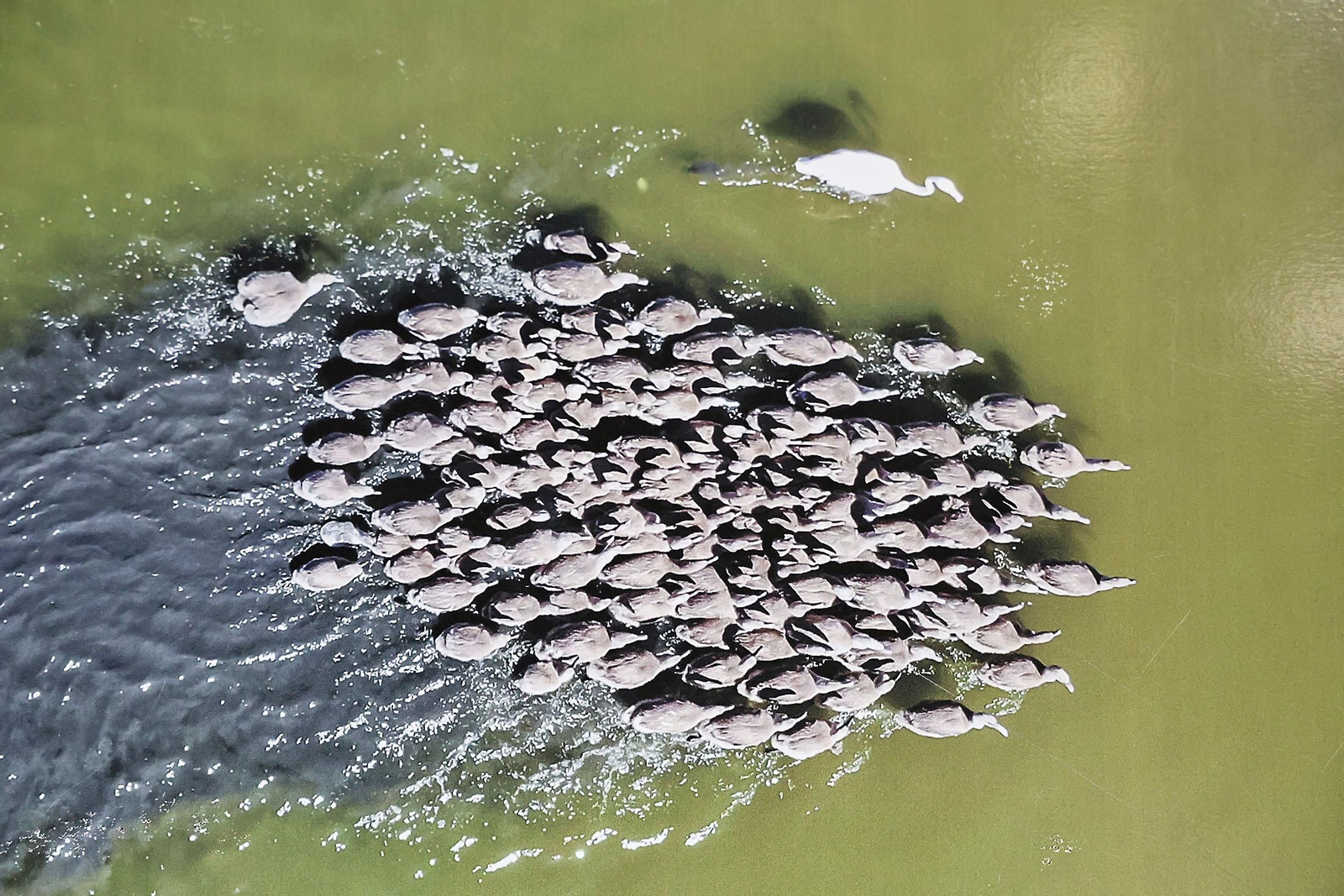 Las imágenes más destacadas del lunes 31 de marzo en Huelva
