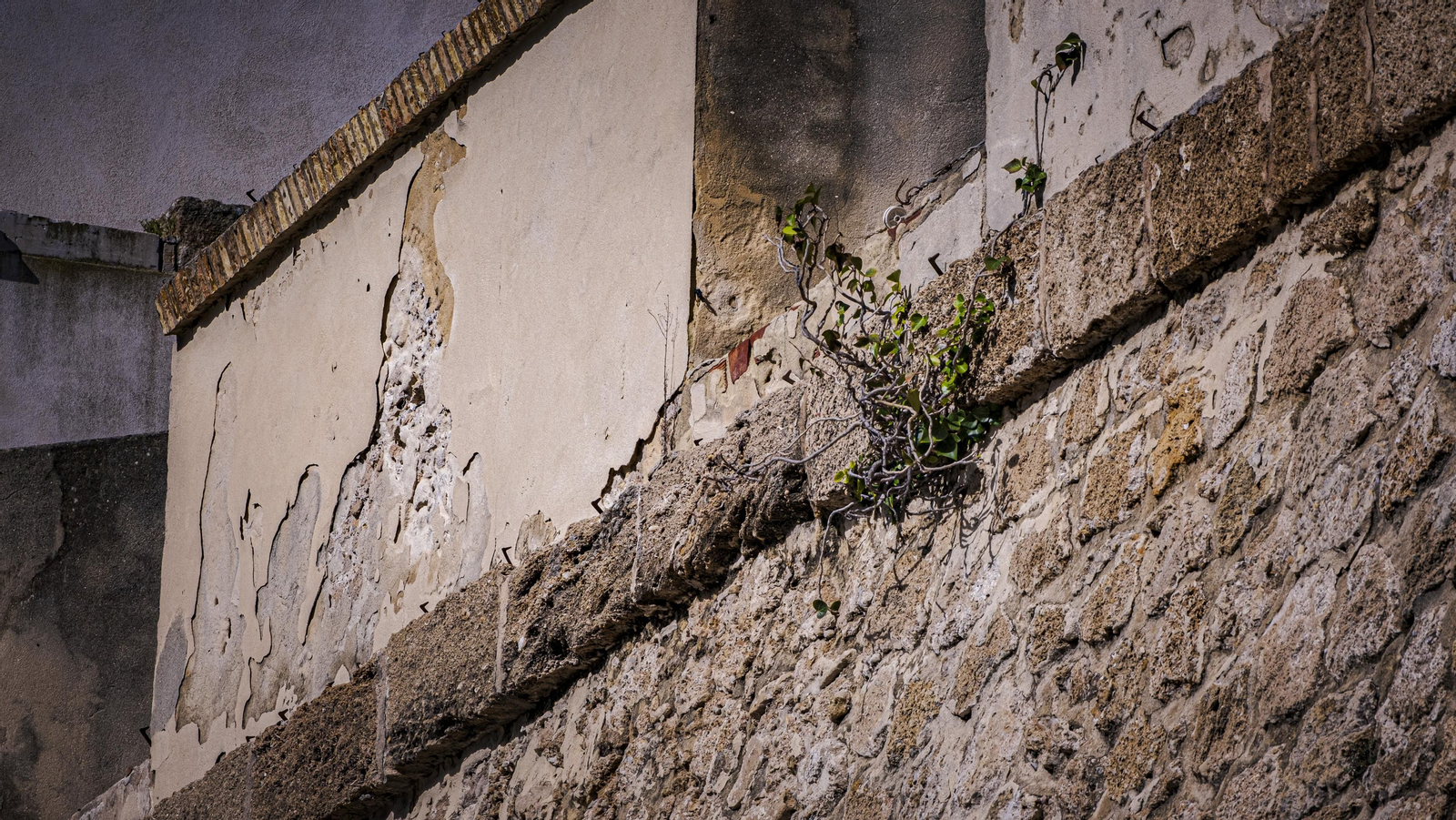 Estado del lienzo de muralla de las Puertas de Tierra de Cádiz.