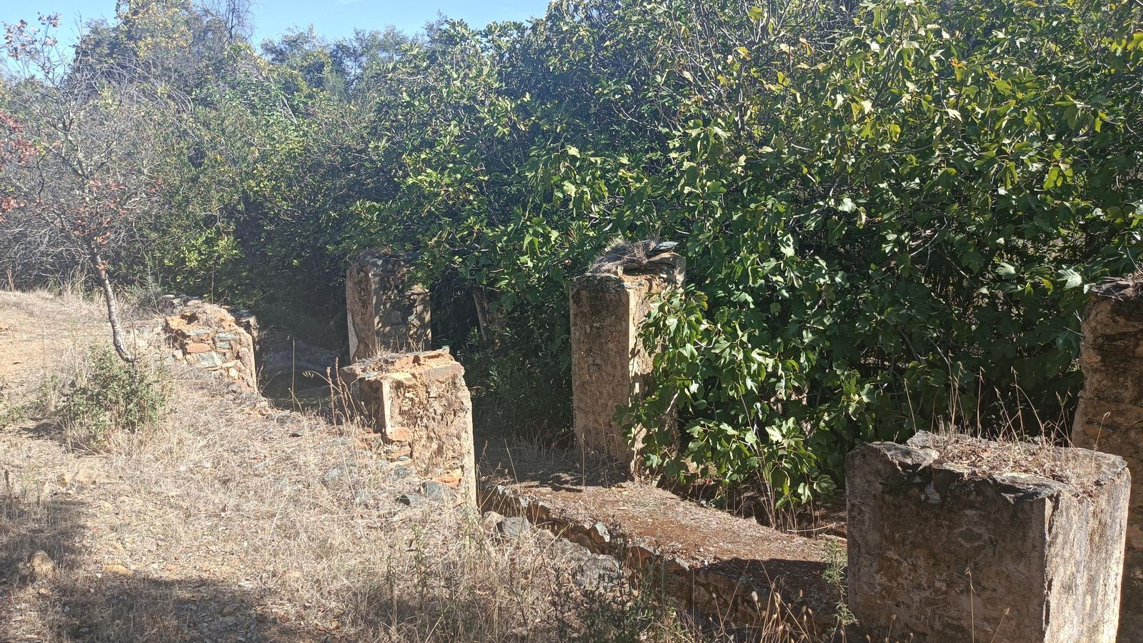 Un lavadero del siglo XIX