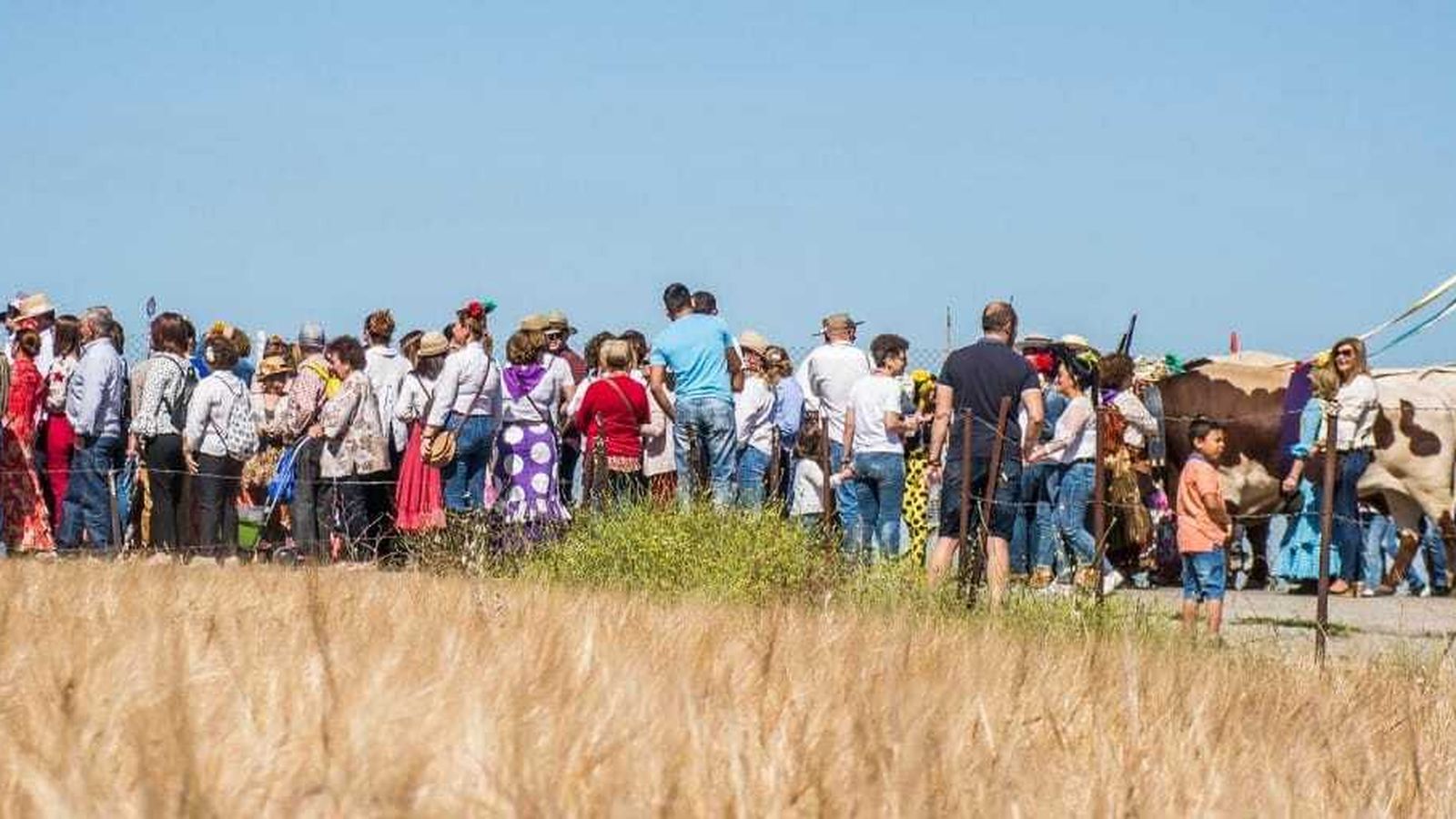 La romería de la Virgen del Rosario de El Cuervo, en una edición anterior.