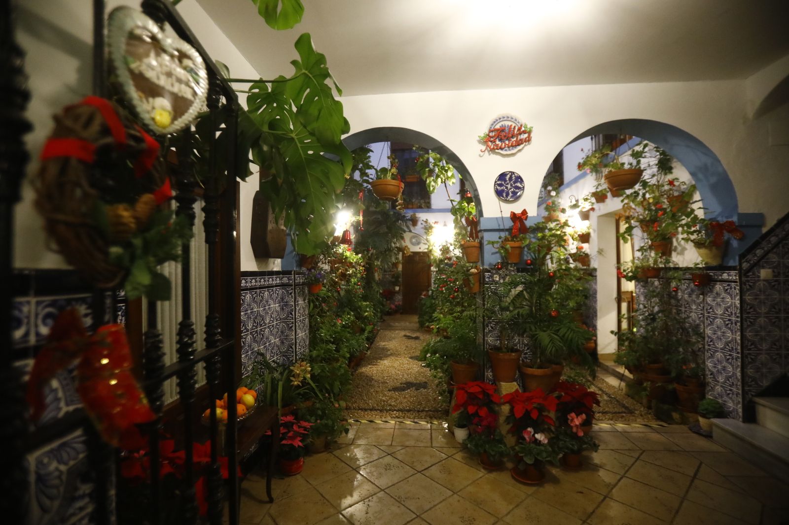 Los Patios de Córdoba abren por Navidad, en imágenes
