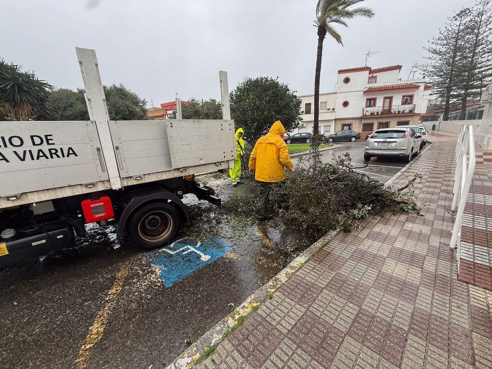 Fotos: Así amaneció el Campo de Gibraltar tras el paso de la borrasca Leonardo