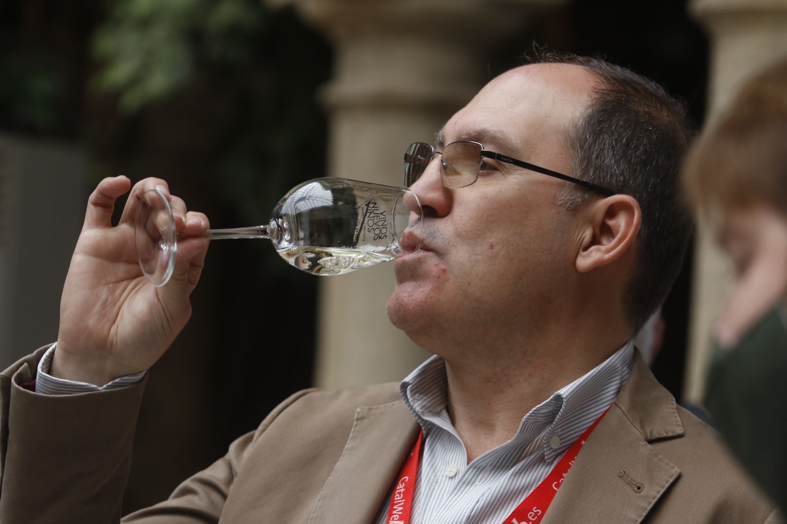 La presentación en sociedad de los vinos nuevos de Moriles y Montilla, en imágenes