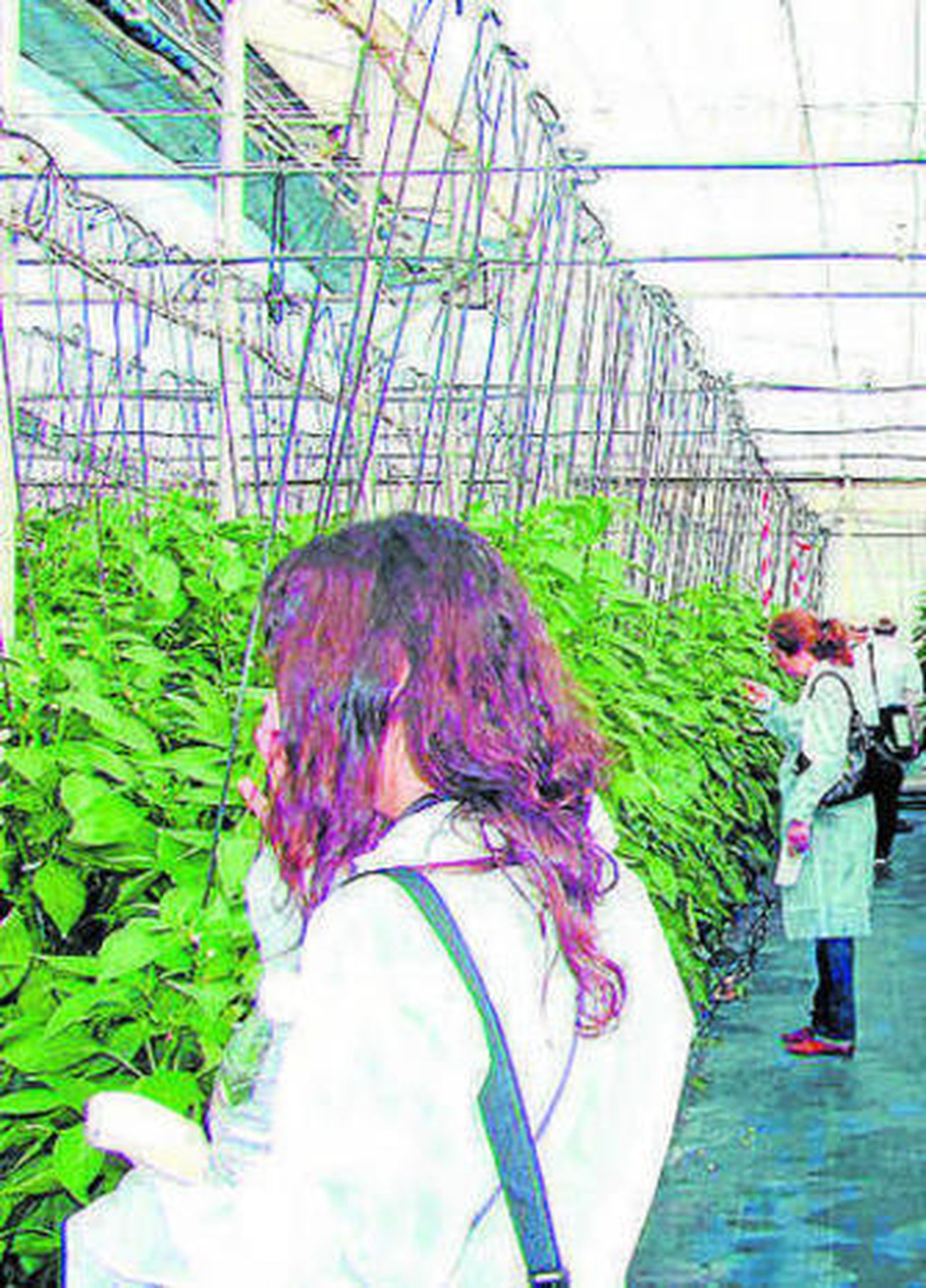 Las Palmerillas, un referente en I+D..