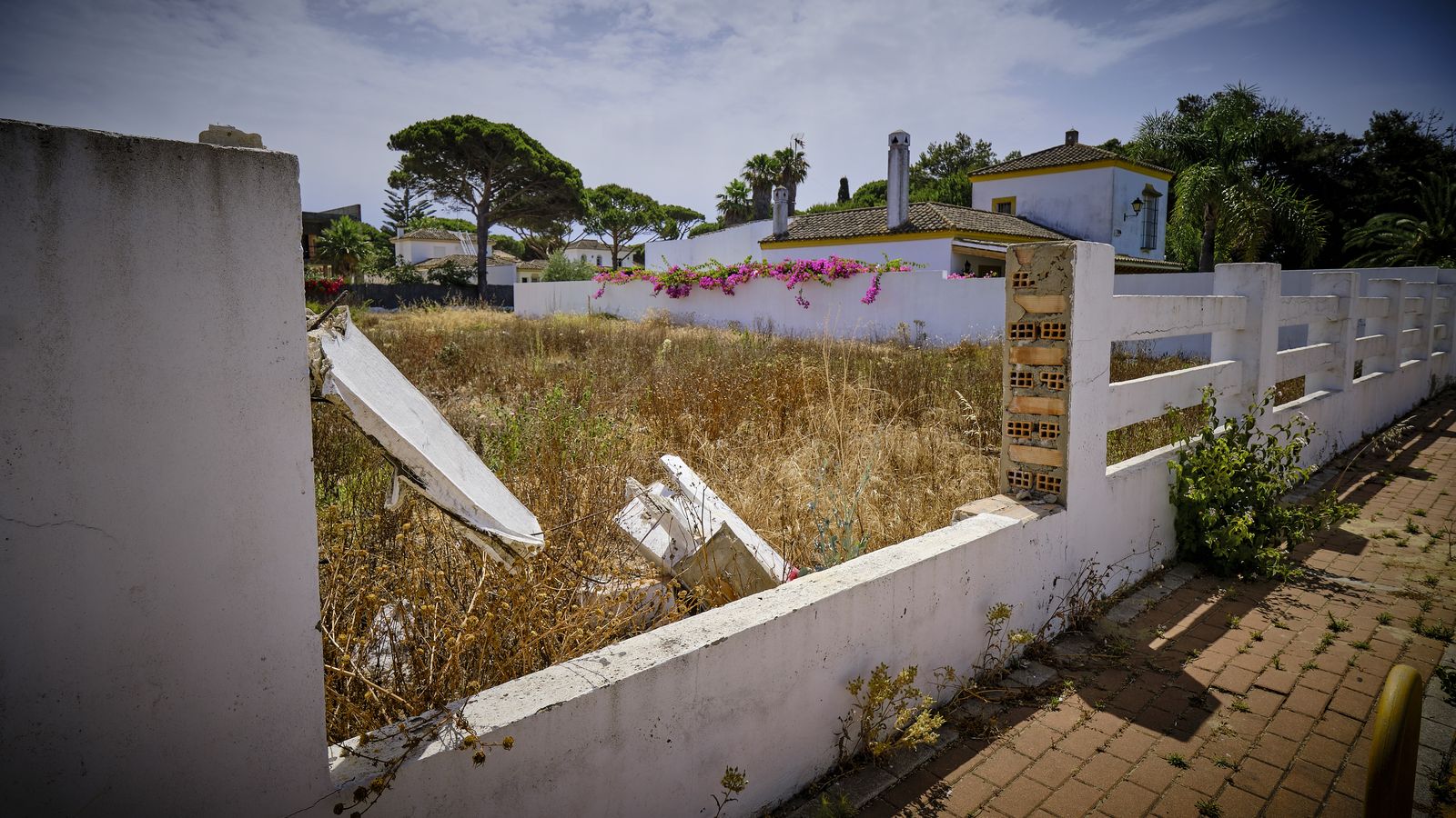 Solar abandonado con matorral seco y evidente peligro de incendio de cara al verano.