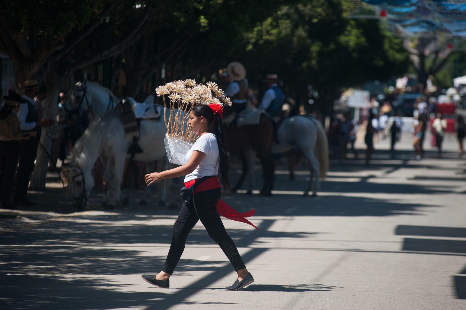 Fotos de este viernes en la Feria de Málaga Fotos de este viernes en la Feria de Málaga