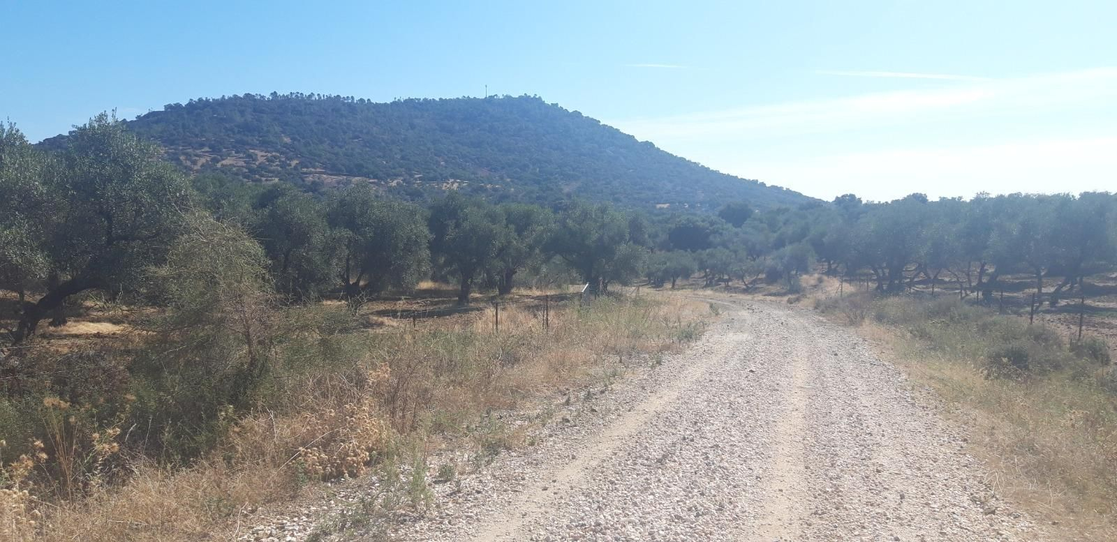 Las fotos de la ruta del Azulaque, en El Pedroso