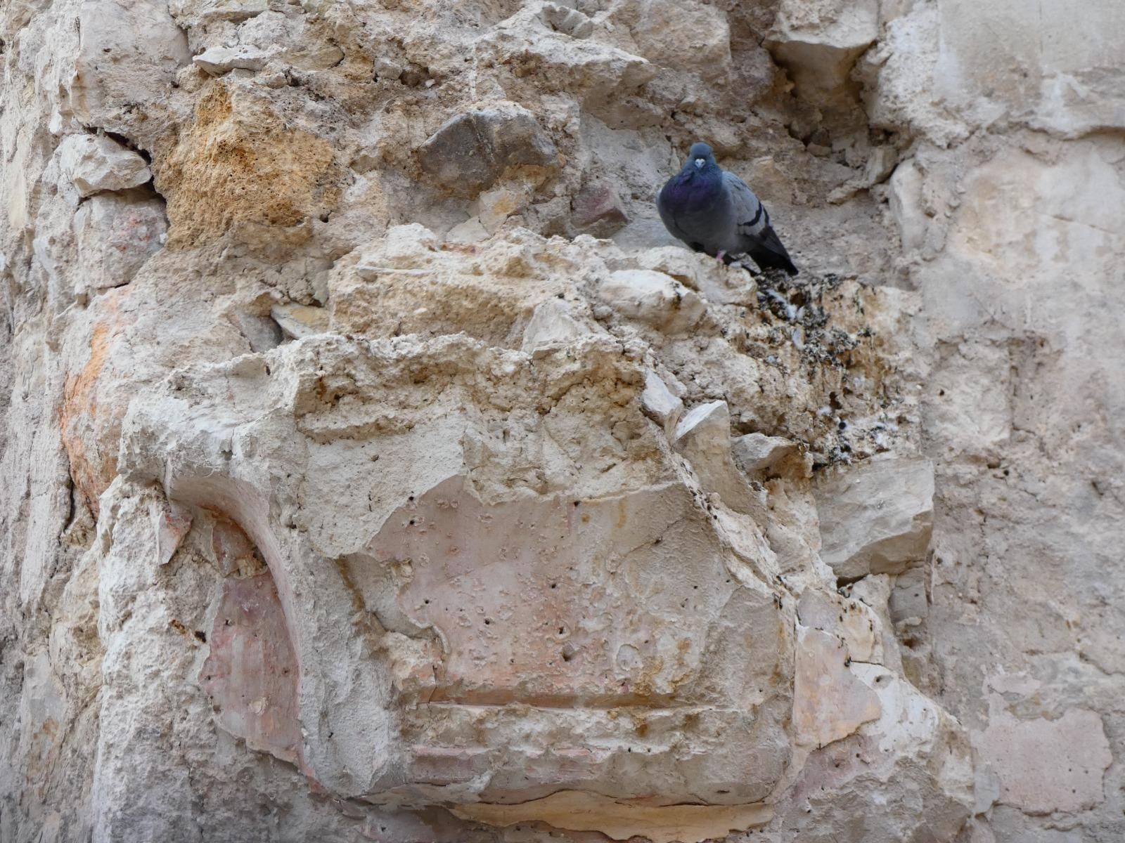 Así se encuentran los restos de la antigua iglesia de San Miguel en Jaén, en imágenes