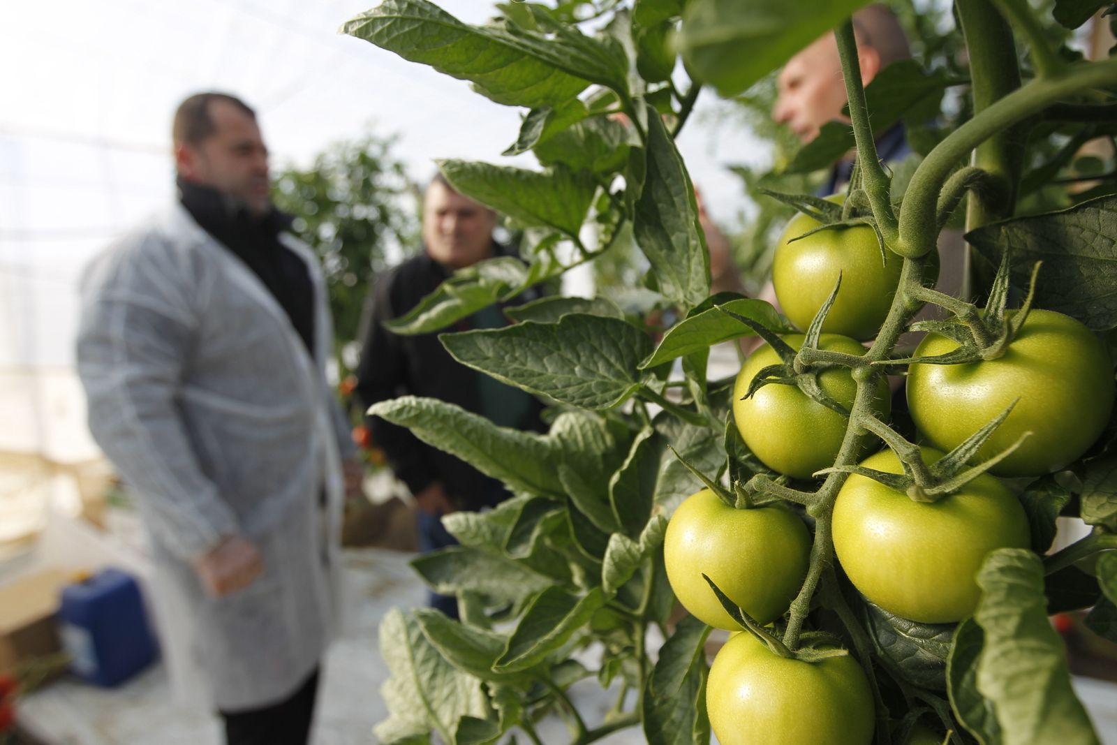 El agro se ha mantenido como un referente a lo largo de este último año, haciendo gala de esa condición de esencial que da nombre a esta publicación.