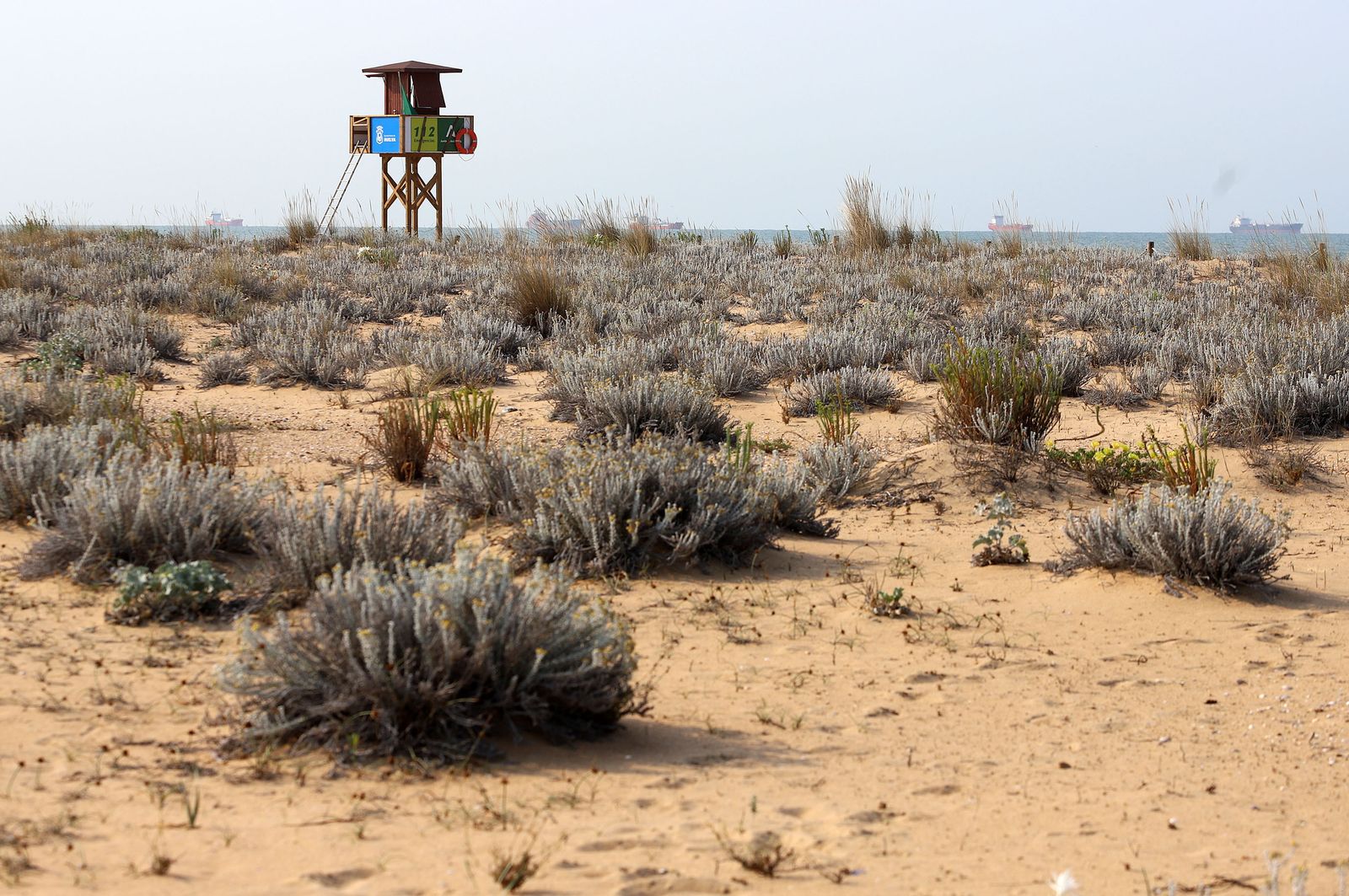 Imágenes del viernes 30 de junio en Huelva