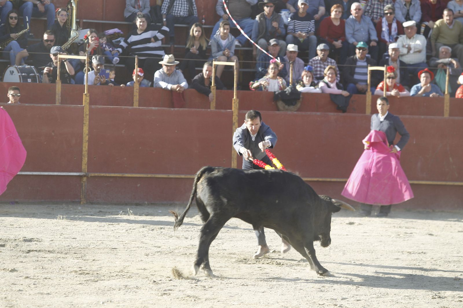 Fotogalería Festival Taurino Mixto. Fiestas de Abrucena.