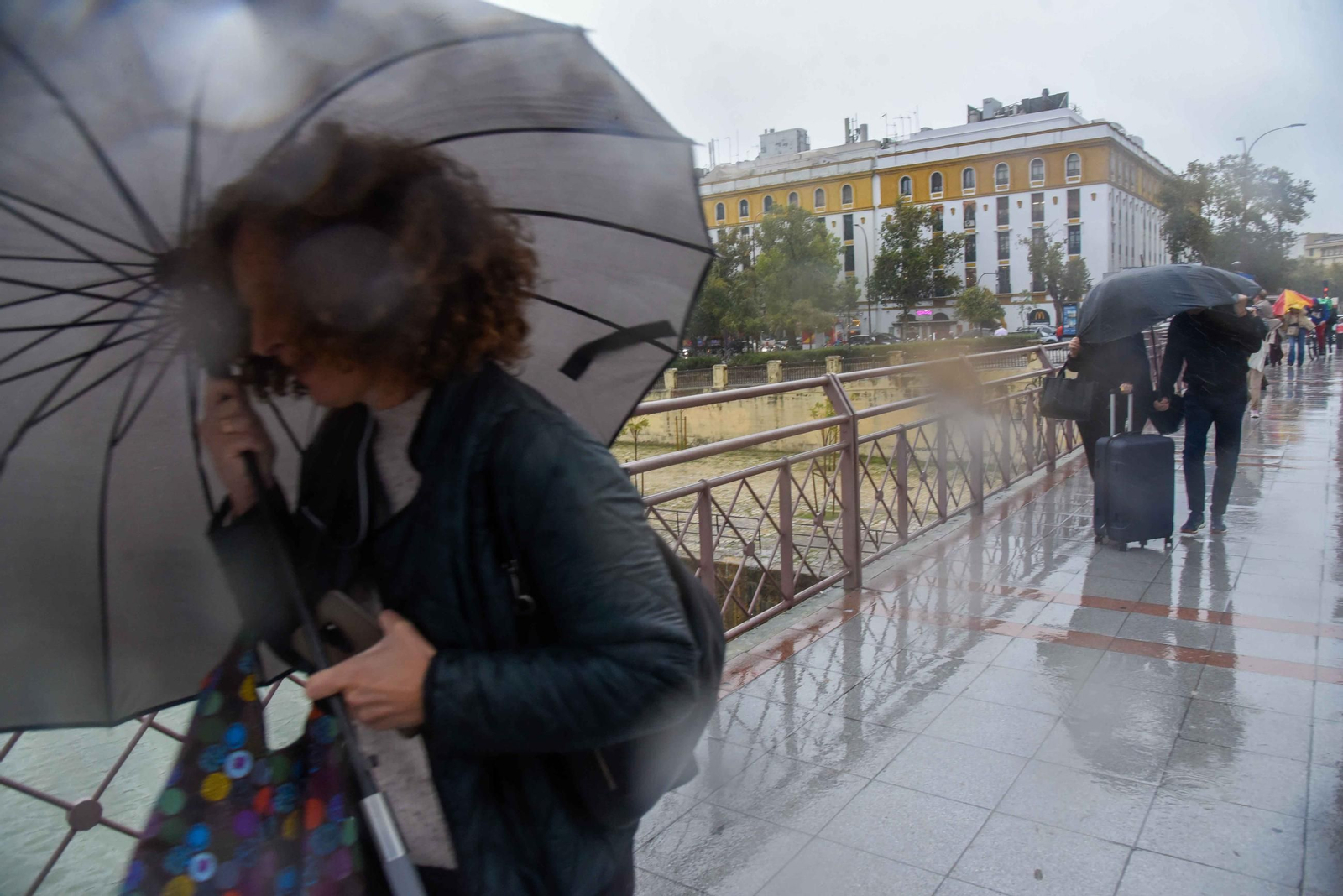 El paso de la Borrasca Claudia por Sevilla en imágenes