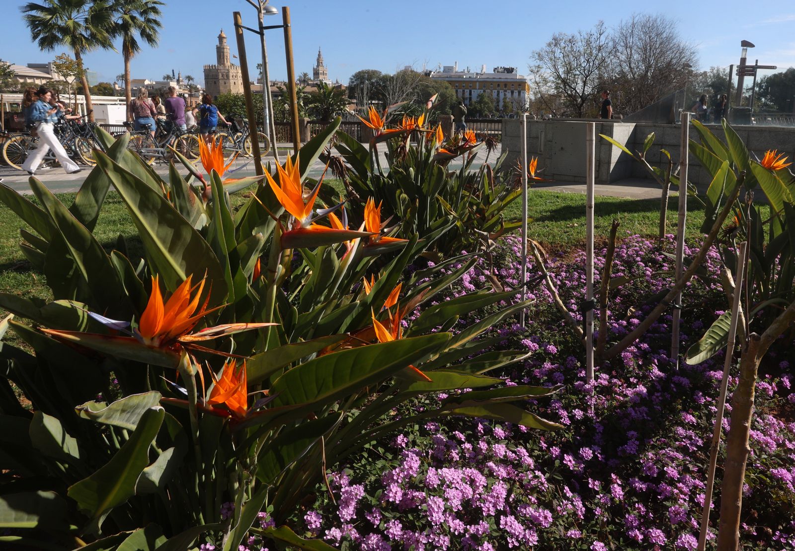 Comienzo de la primavera en Sevilla