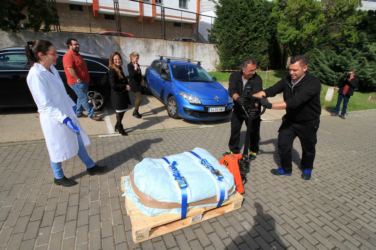 Imágenes de la llegada al museo de Huelva de la estela de cerca de 5.000 años de antigüedad hallada en Cañaveral de León