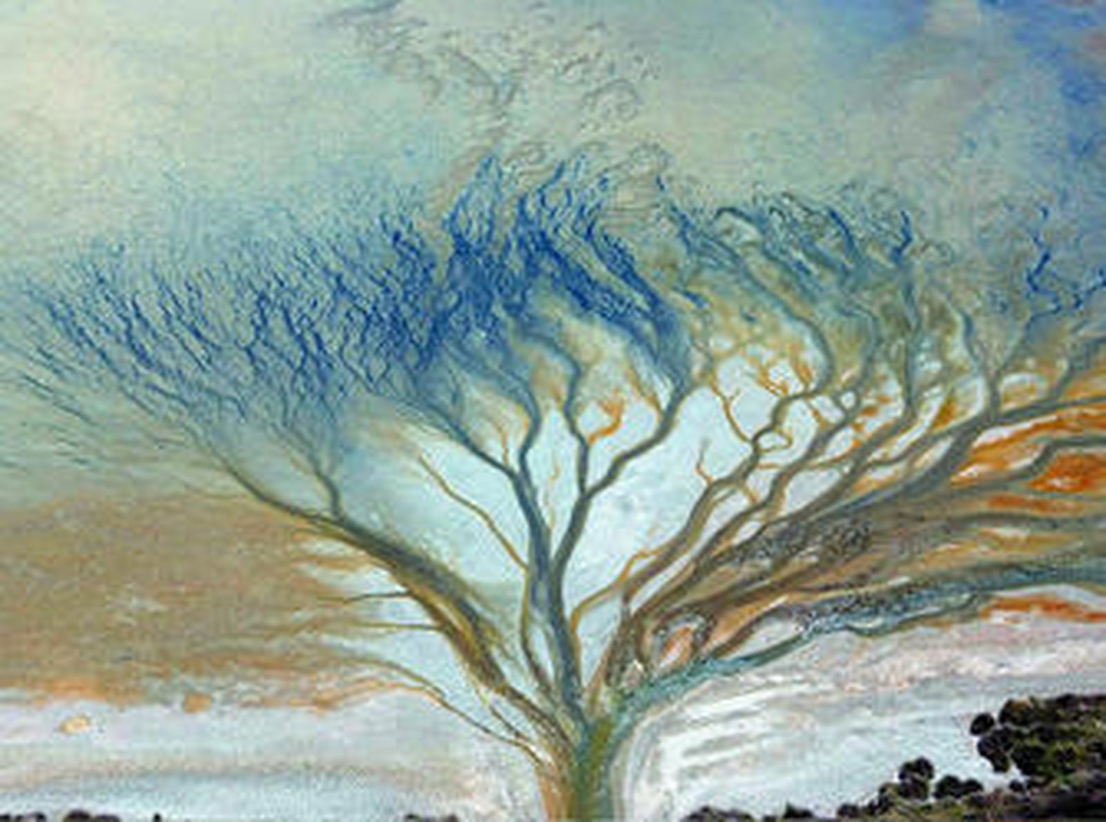 Héctor Garrido exhibe sus fotografías aéreas de Doñana