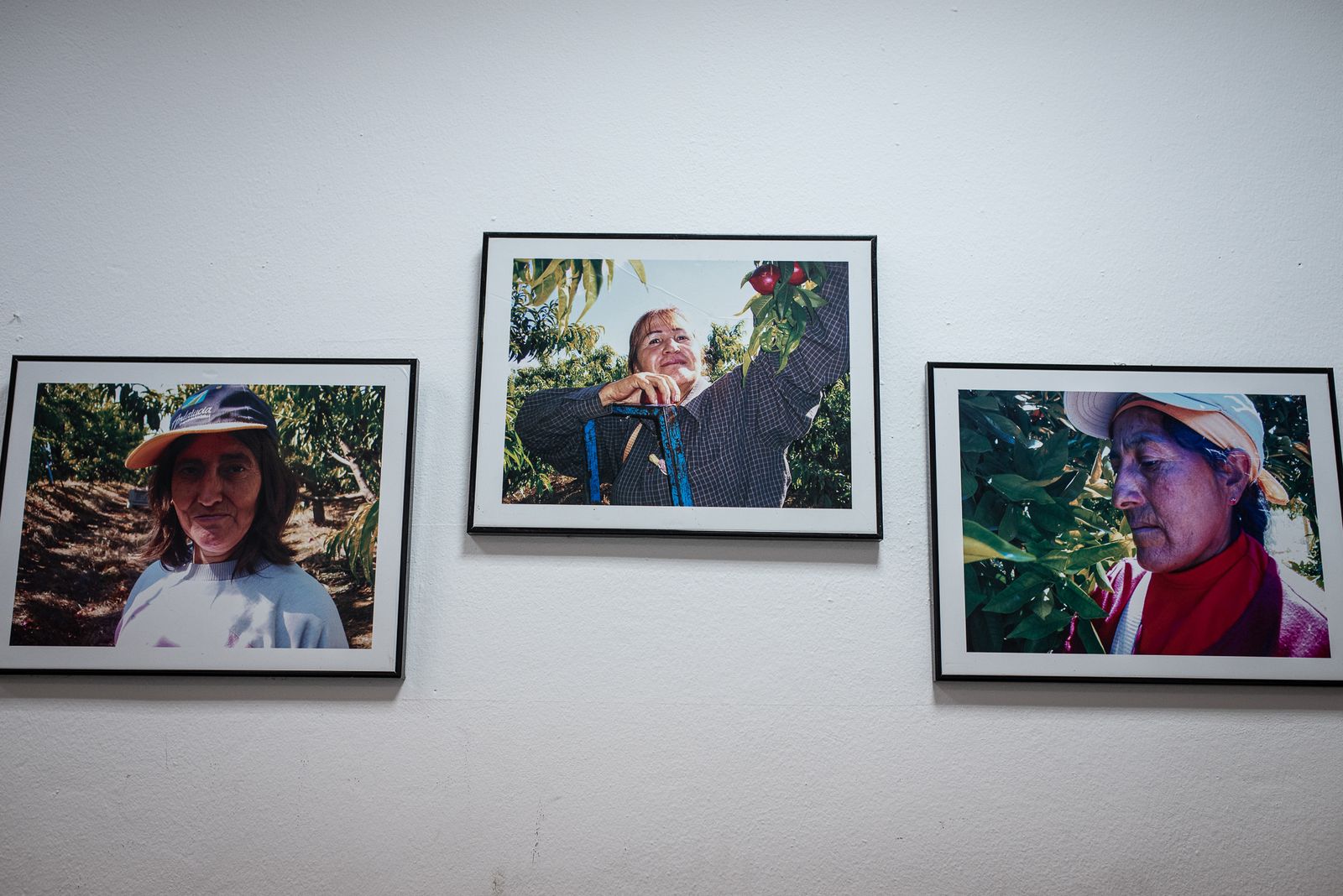 Una visita a la asociación AMIA, en imágenes