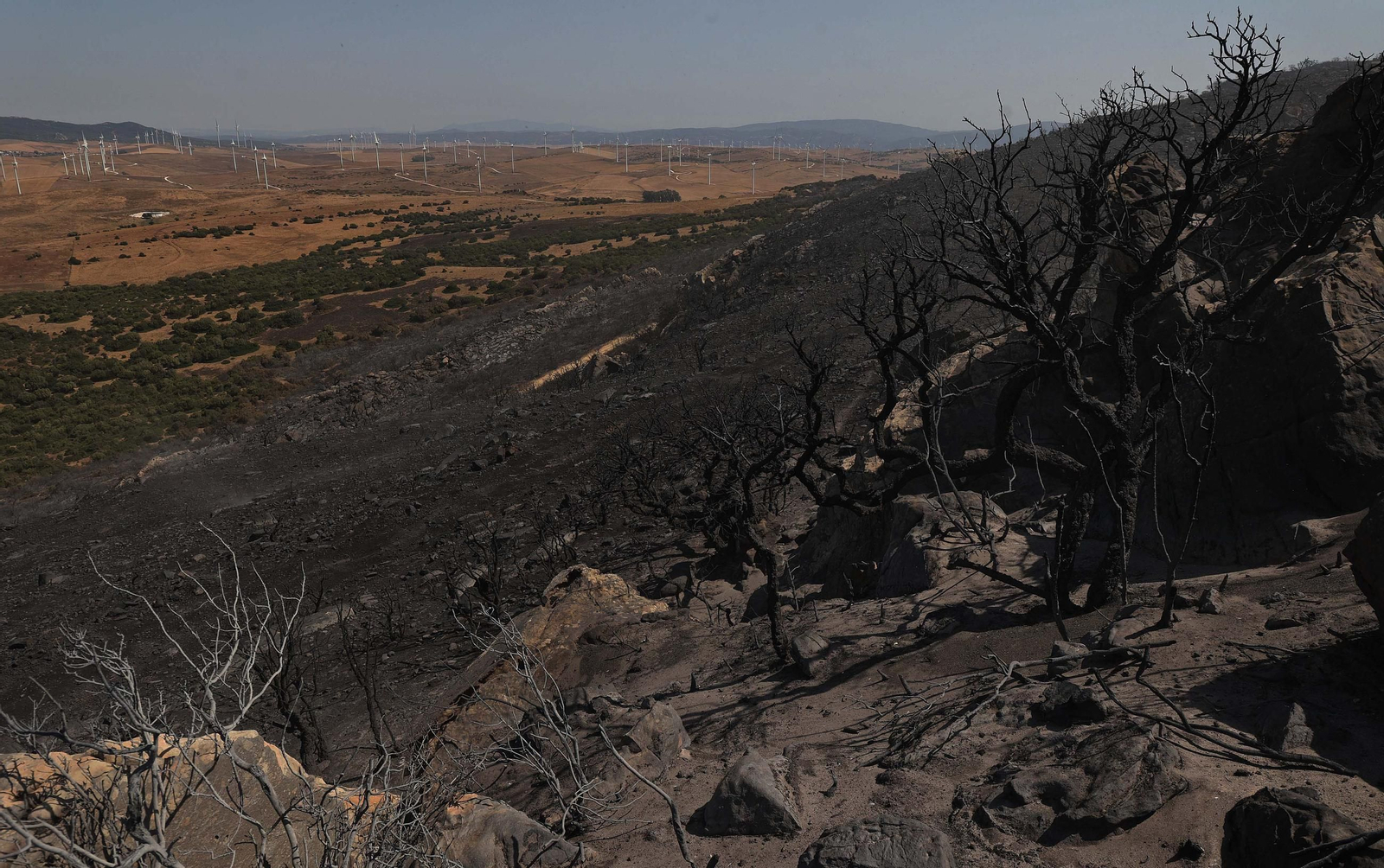 Así han quedado Atlanterra y Zahara de los Atunes tras el incendio forestal en la Sierra de la Plata de Tarifa