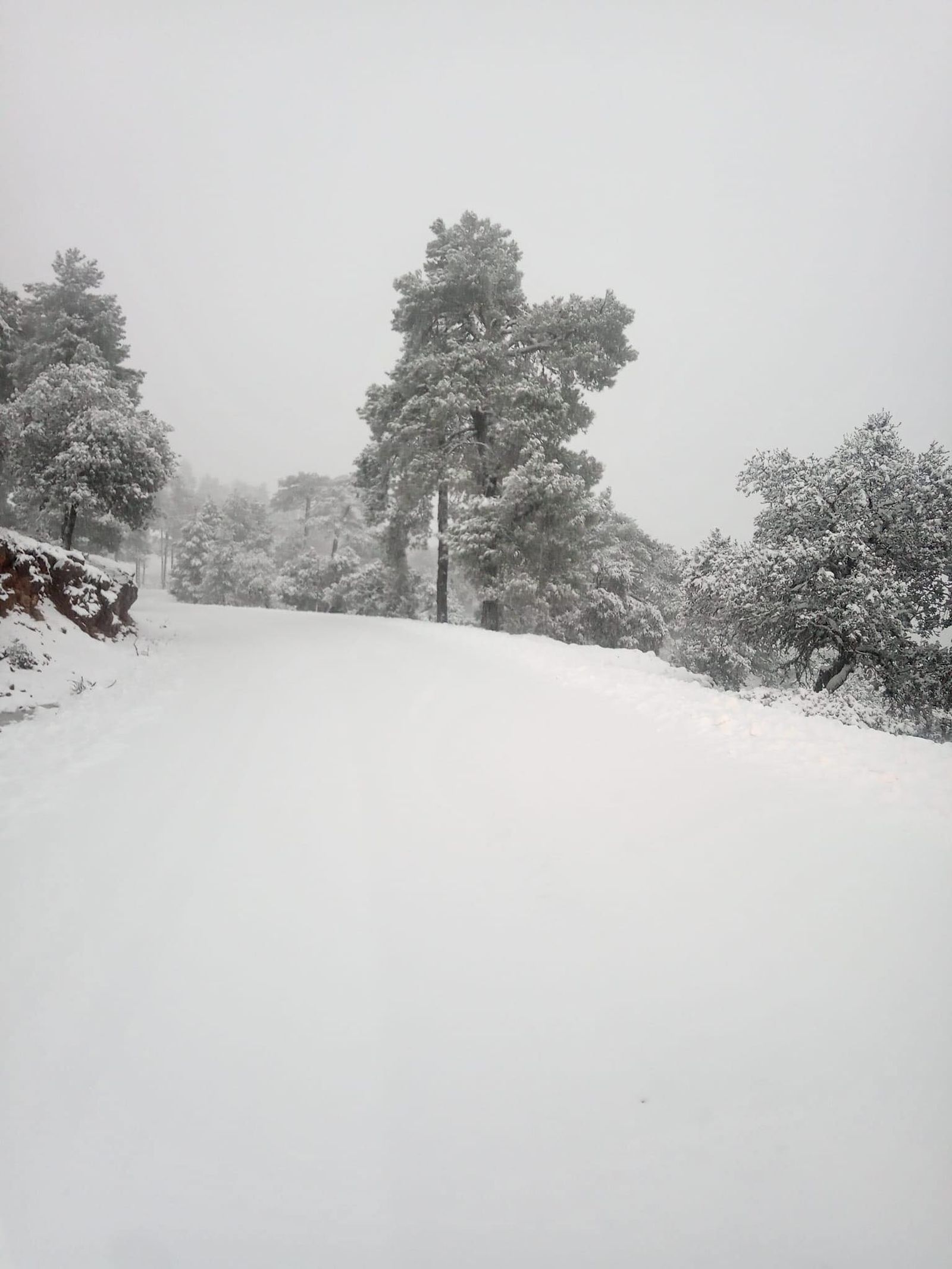 Blanca Navidad en la Sierra de Cazorla/601373491_1413488446822394_9176731839773931614_n