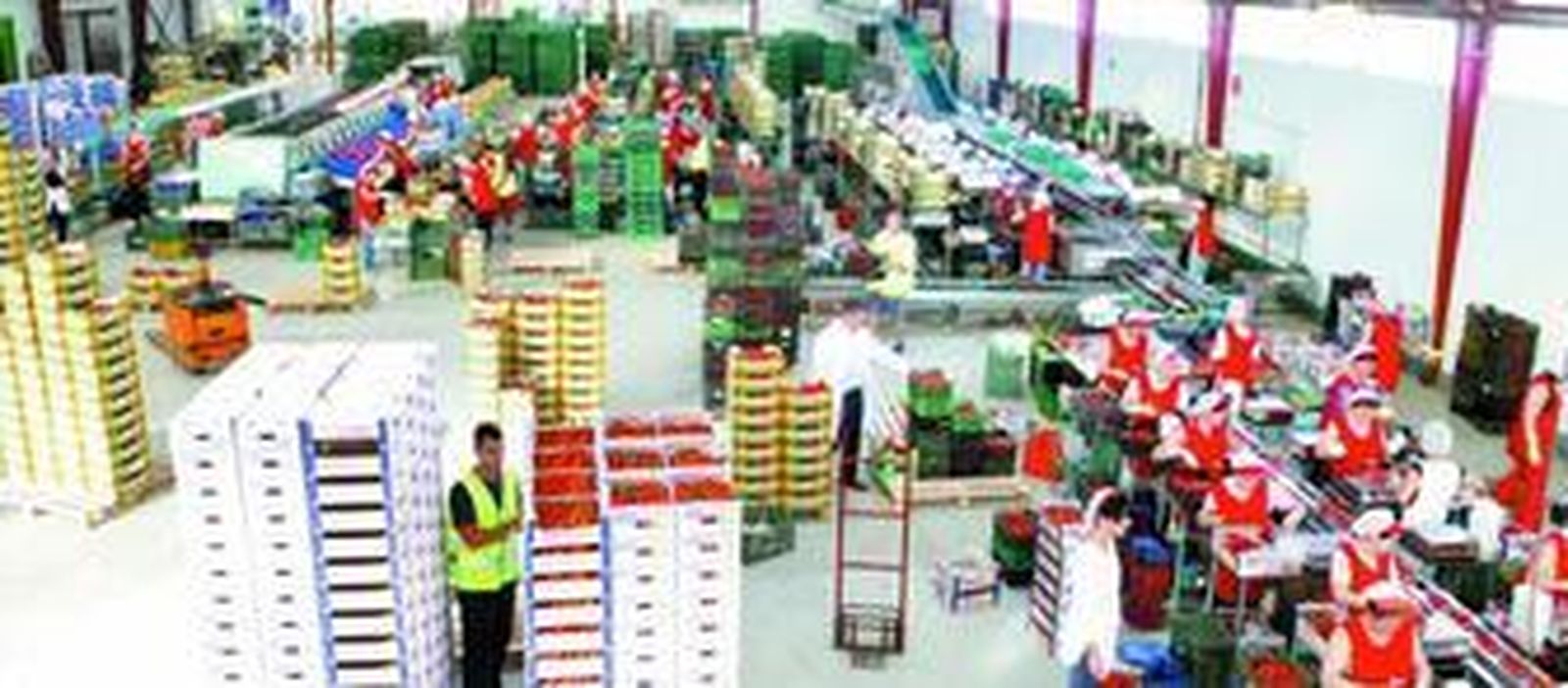 Imagen de las instalaciones de Caparrós Nature, una de las que integran el grupo Frutas Caparrós.