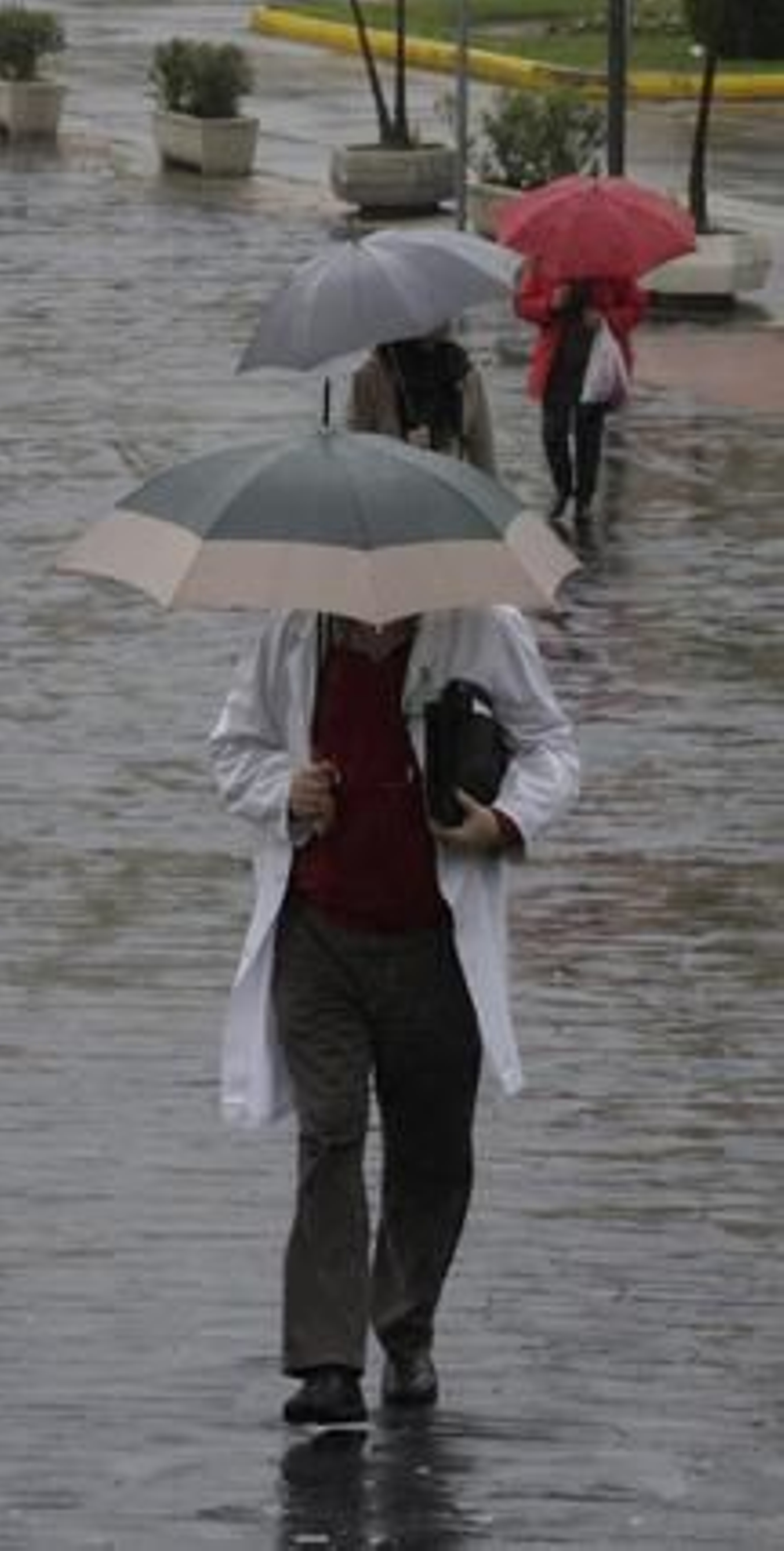 La alerta naranja de jornadas pasados ha dado paso a un situación sólo de riesgo donde las precipitaciones continuarán hasta la Nochevieja.

Foto: J.A. García / V. Hidalgo
