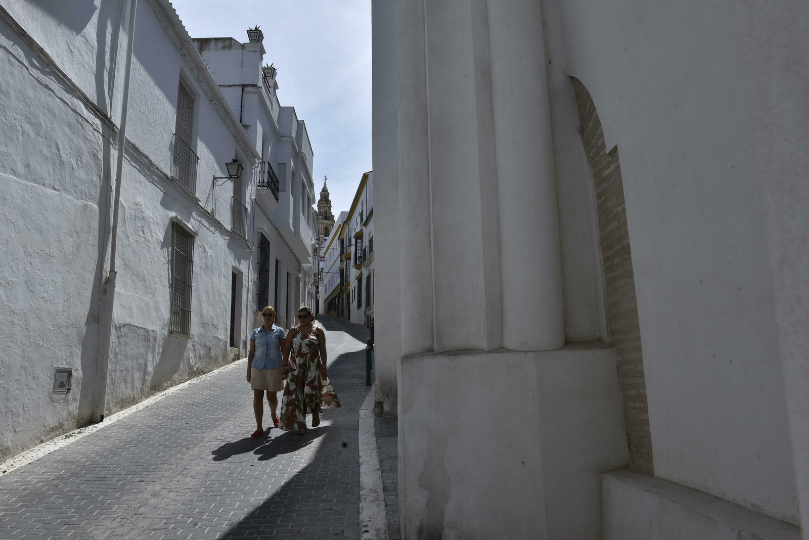 Estepa, en imágenes