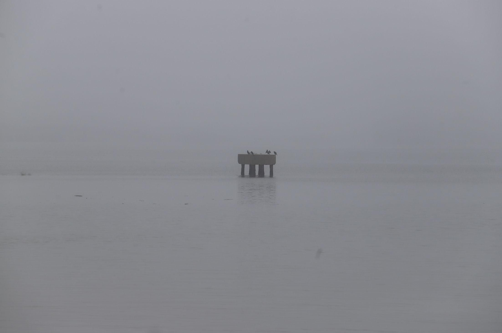 Imágenes de la niebla durante la mañana en Huelva