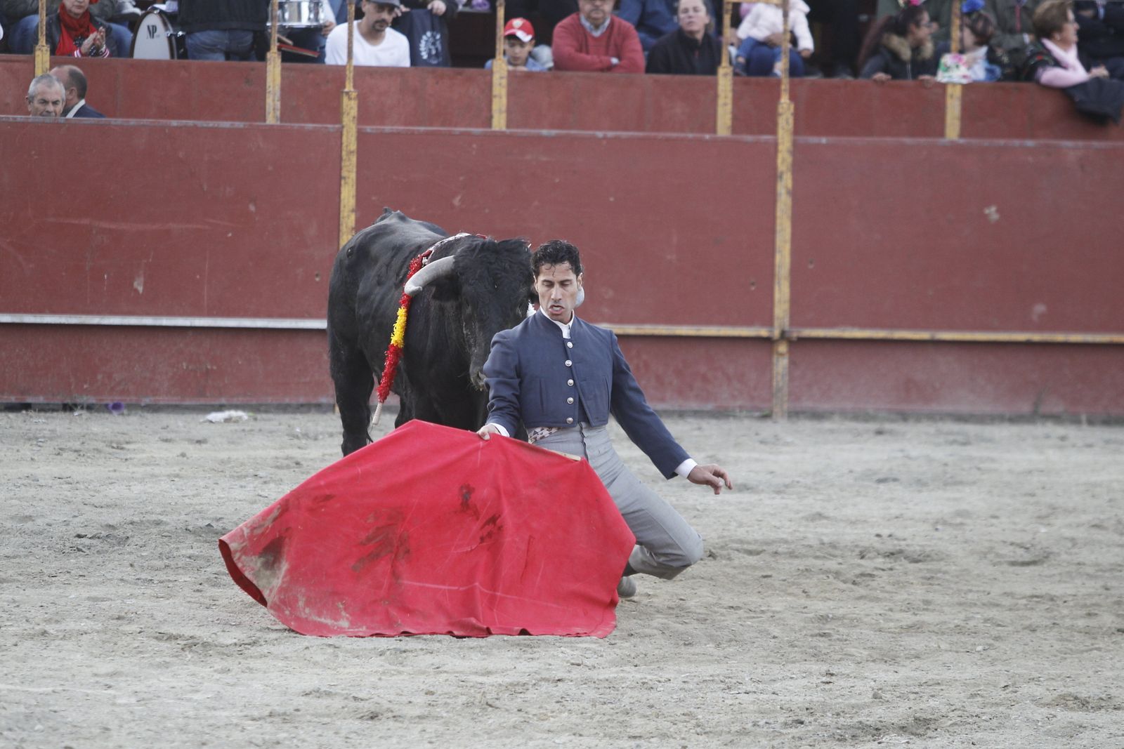 Fotogalería Festival Taurino Mixto. Fiestas de Abrucena.