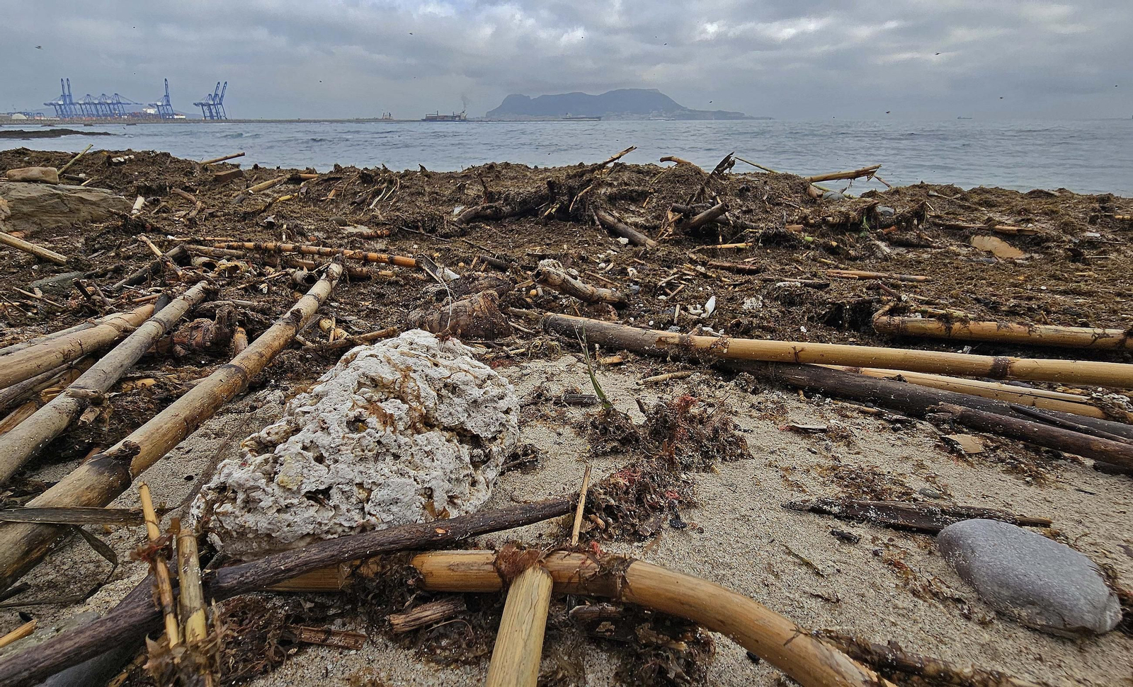 Fotos de la limpieza de las bolas blancas en la playa de Getares en Algeciras
