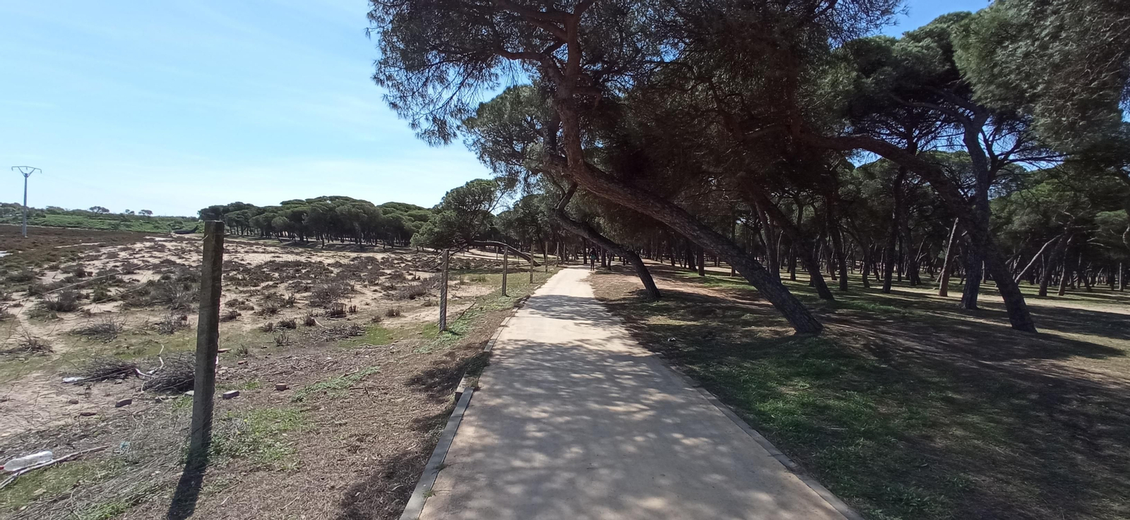 Las imágenes de la ruta de las salinas del Astur y los pinares de Punta Umbría