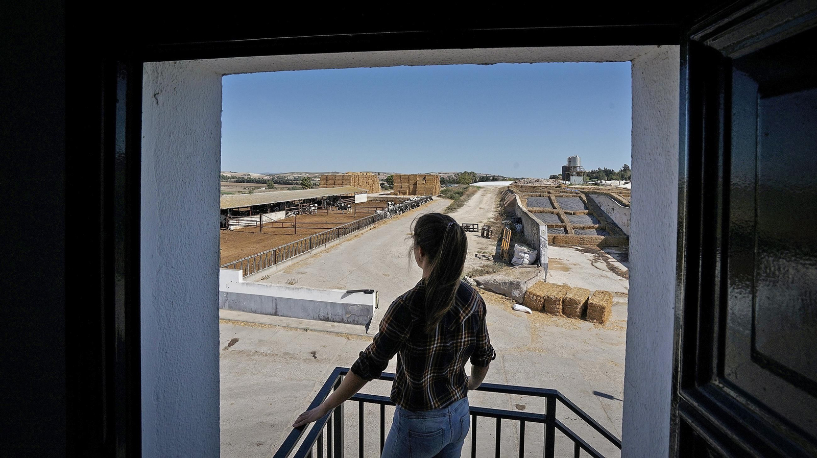 Pilar Arteaga Esteban , veterinaria y ganadera