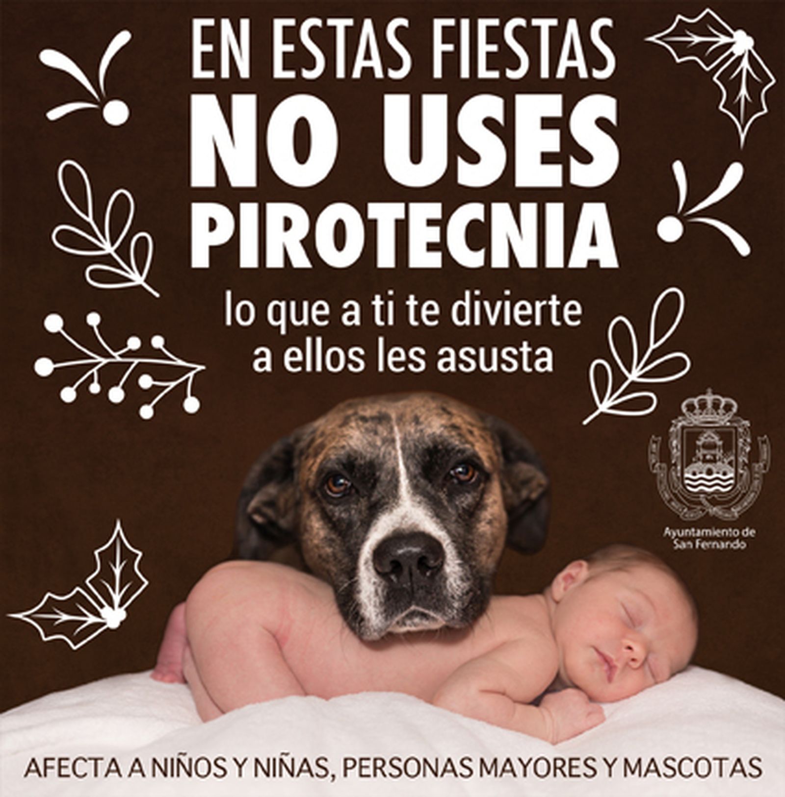 Cartel para recordar la prohibición de petardos.