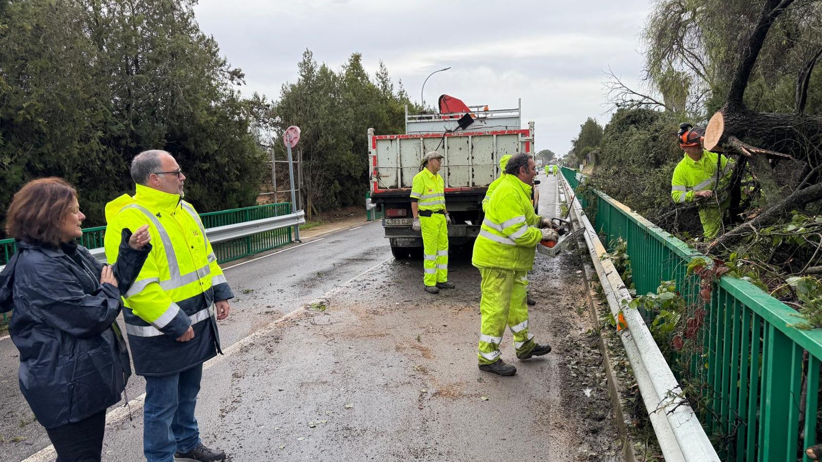 La alcaldesa Cristina Los Arcos durante la retirada del árbol caído en la A-8075.