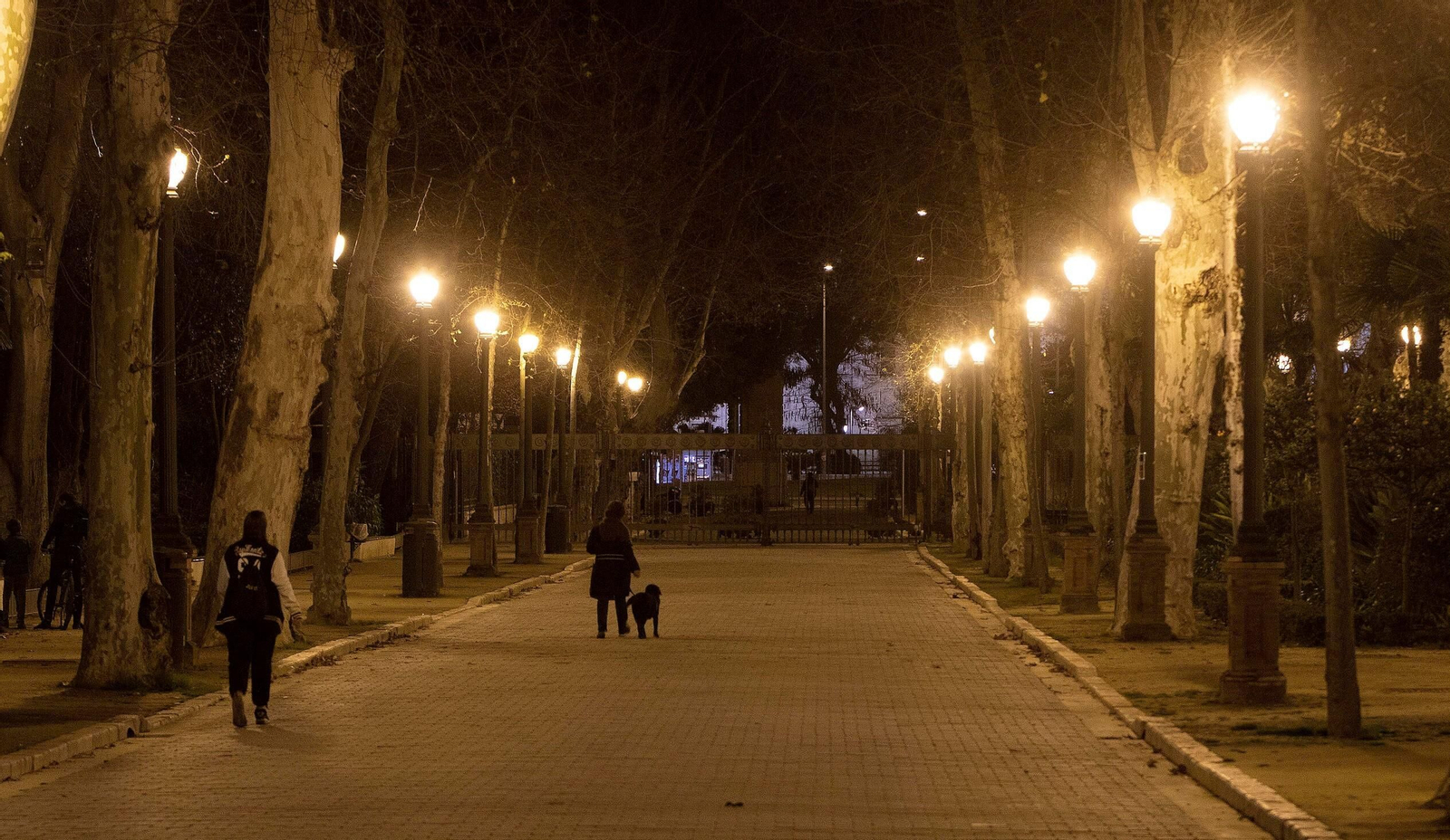 El Parque de María Luisa de noche.