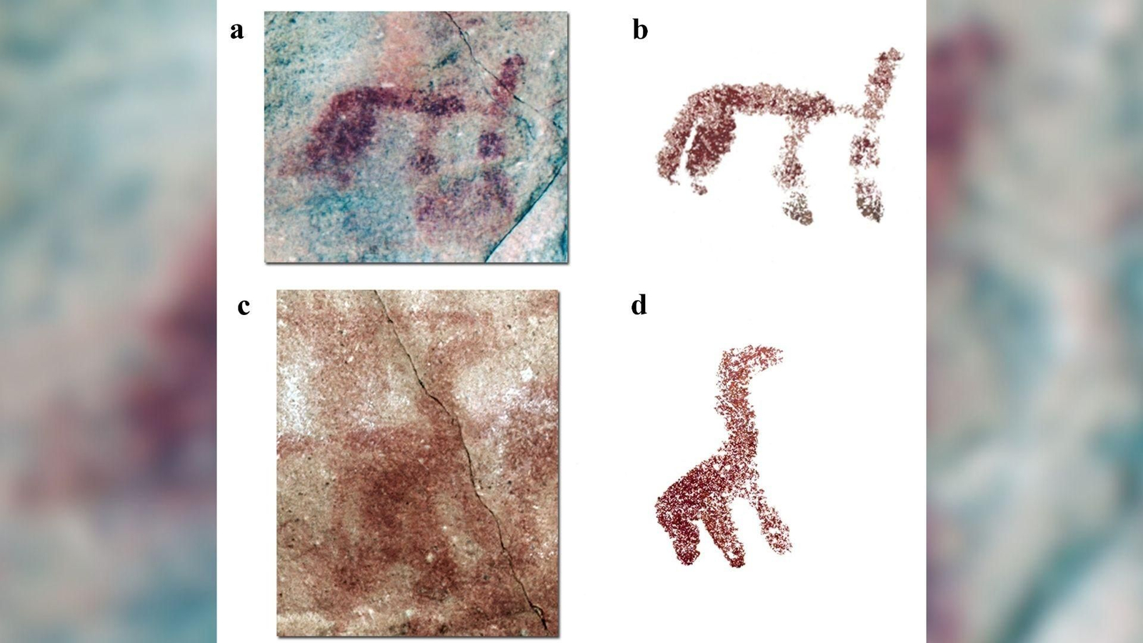 Zoomorfos esquemáticos de tendencia naturalista de la Cueva de Atlanterra. a y b. Cuadrúpedo indeterminado 98 del panel 1. a. Fotografía procesada digitalmente. b. Reproducción digital. c y d. Posible ave o cuadrúpedo 170 del panel 4. c. Fotografía procesada digitalmente. d. Reproducción digital.