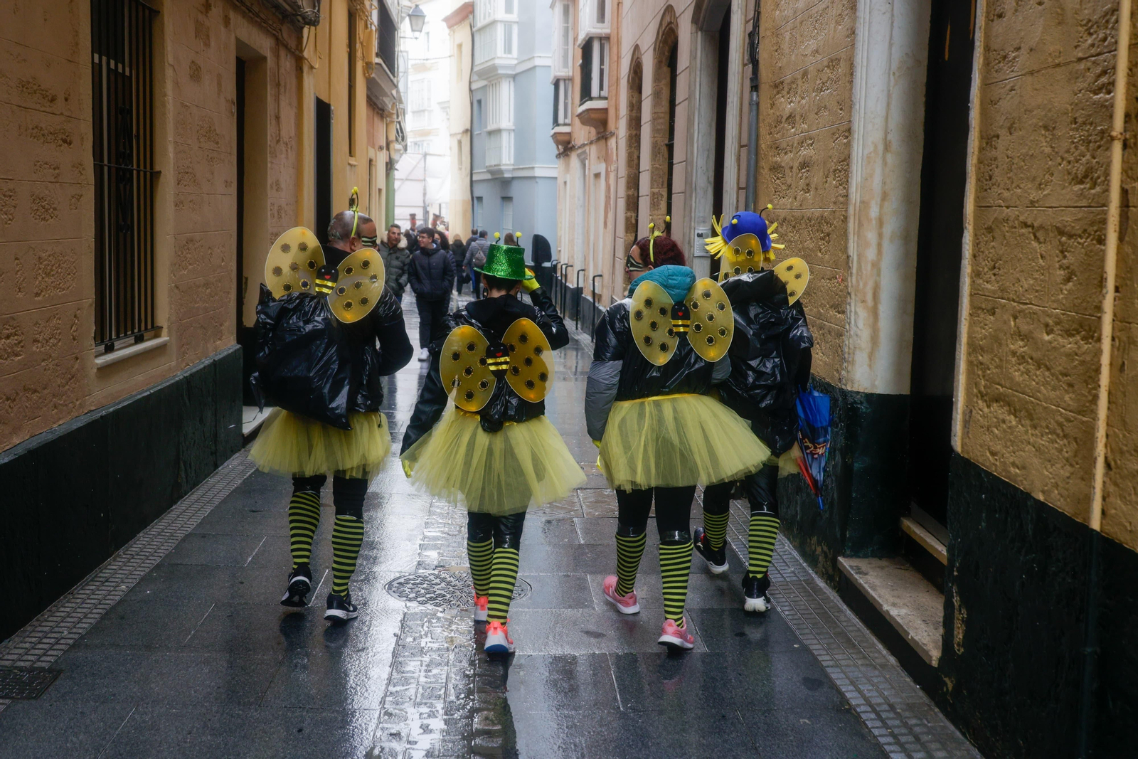 Las imágenes de un domingo de Carnaval en Cádiz pasado por agua
