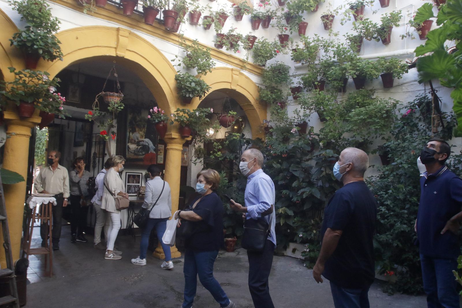 Los Patios en otoño, en fotografías