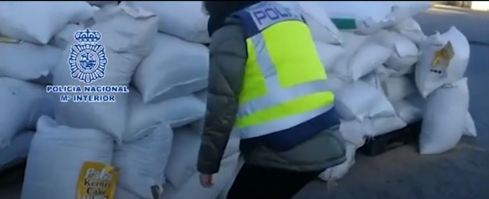 Uno de los investigadores, durante la operación