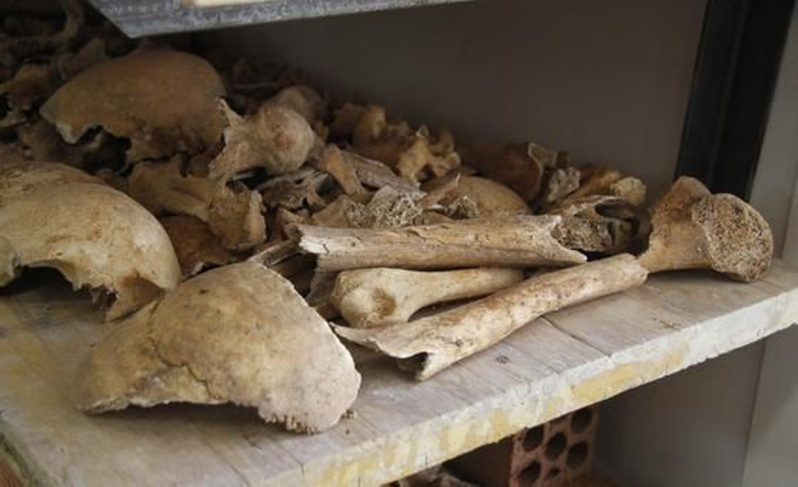Esqueletos humanos hallados durante la restauración de la iglesia de San Luis de los Franceses.

Foto: Victoria Hidalgo
