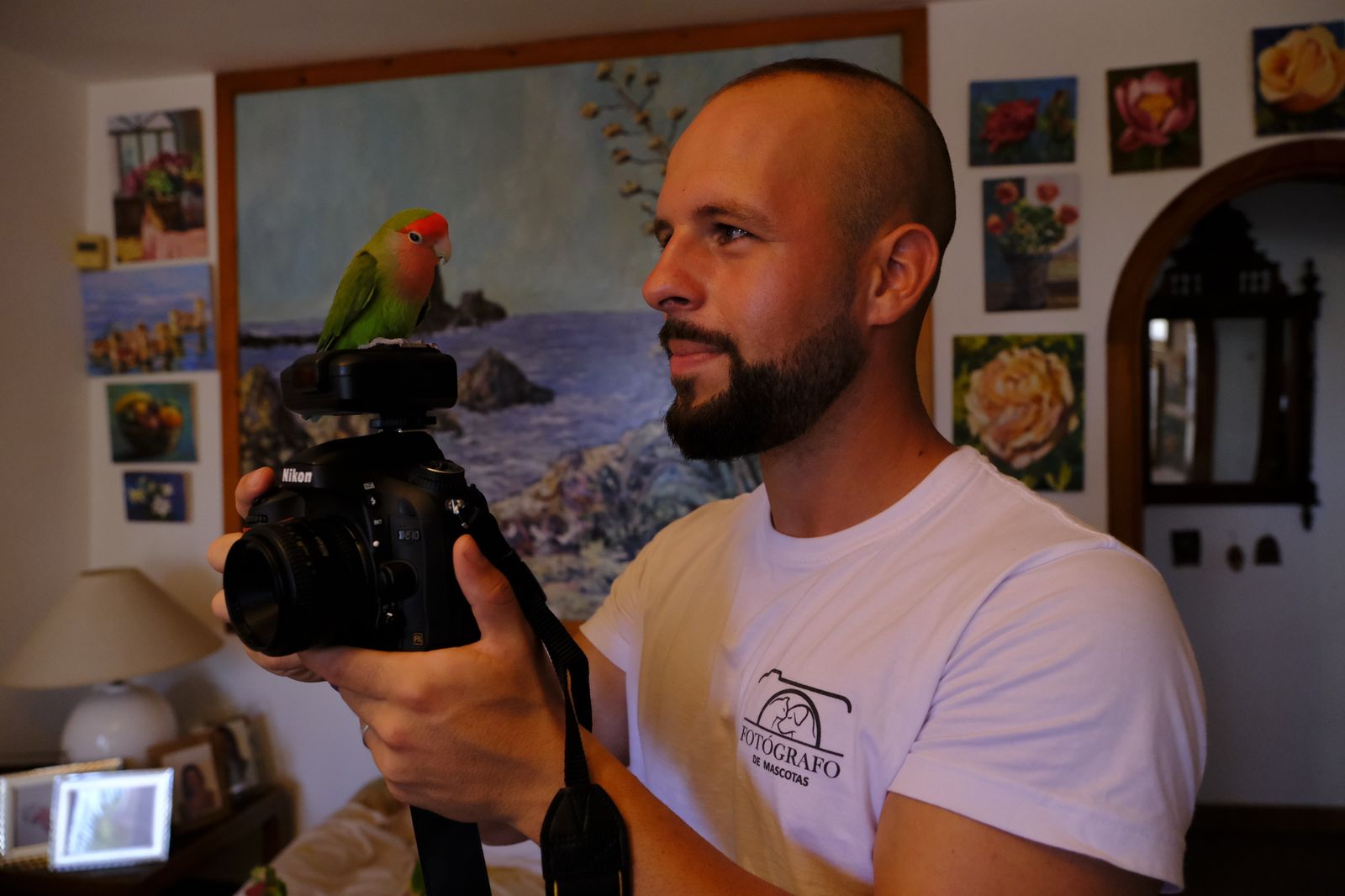 Álbum de las mascotas fotografiadas por 'El fotógrafo de mascotas'